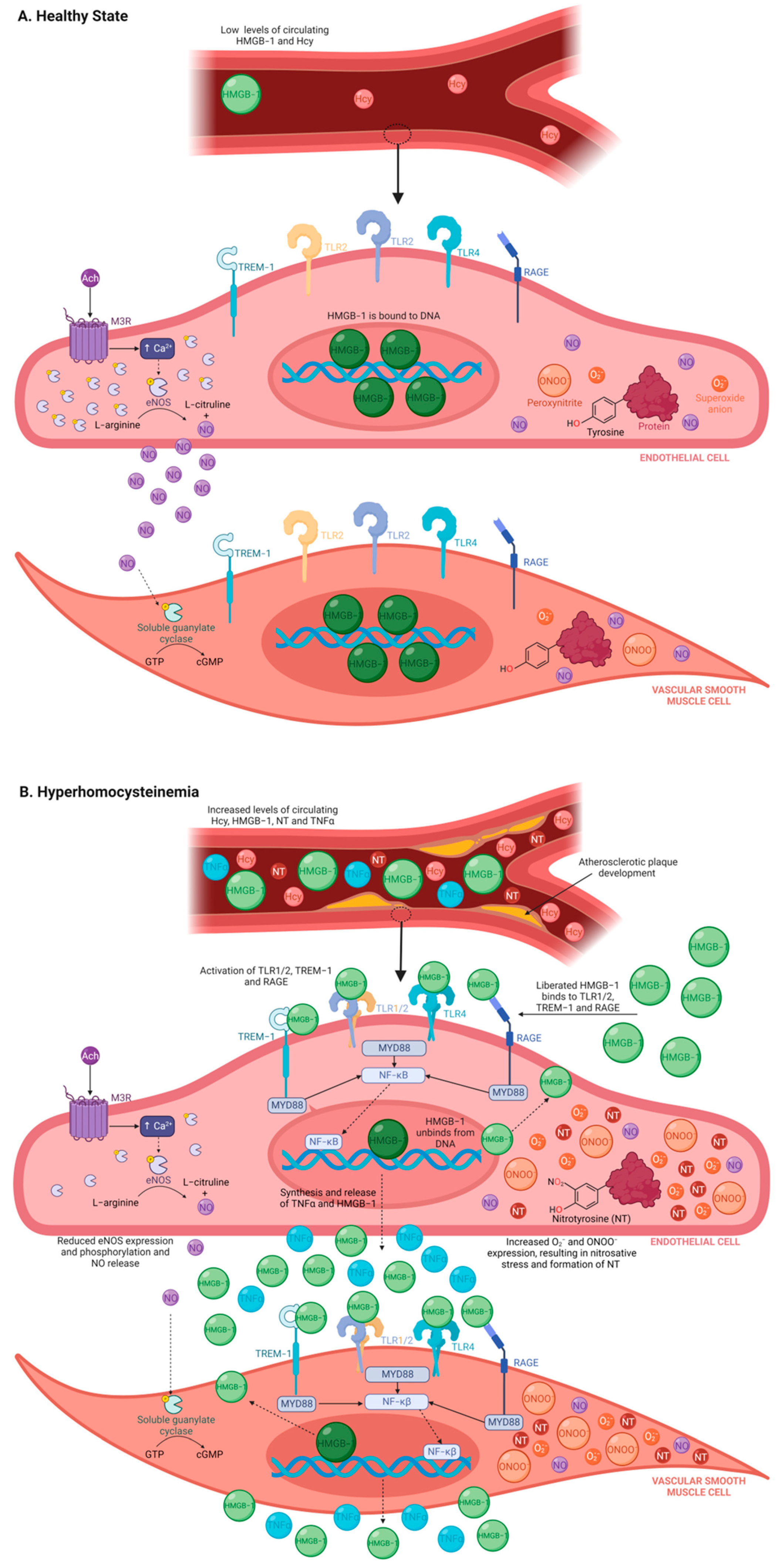 Nutrients 15 03186 g001 Nutrients 15 03186 g001
