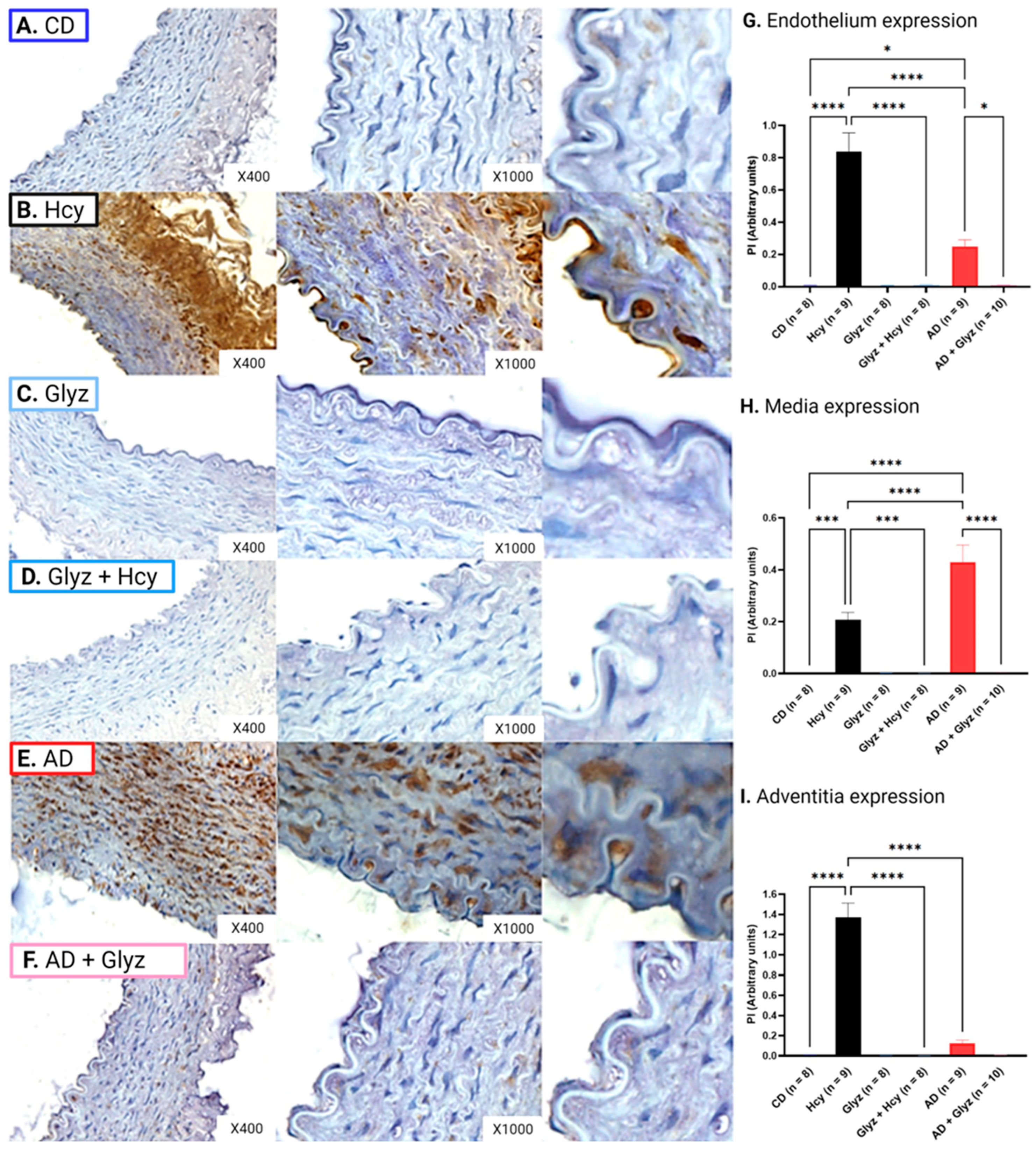 Nutrients 15 03186 g004 Nutrients 15 03186 g004
