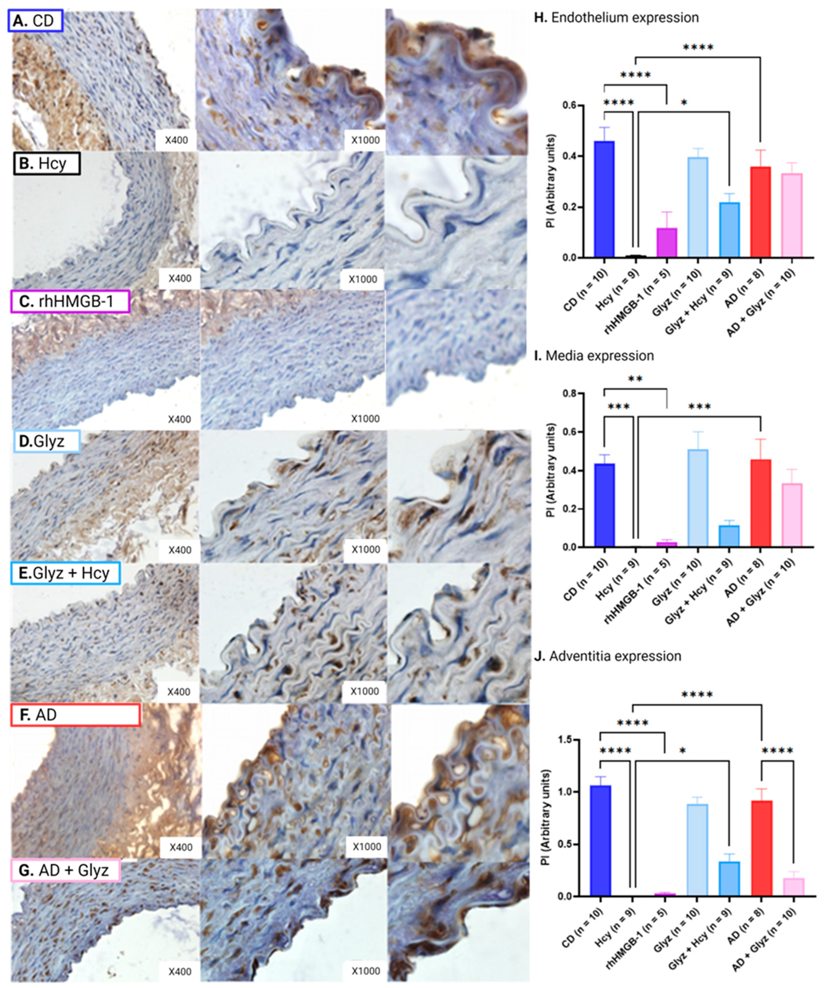 Nutrients 15 03186 g005 Nutrients 15 03186 g005