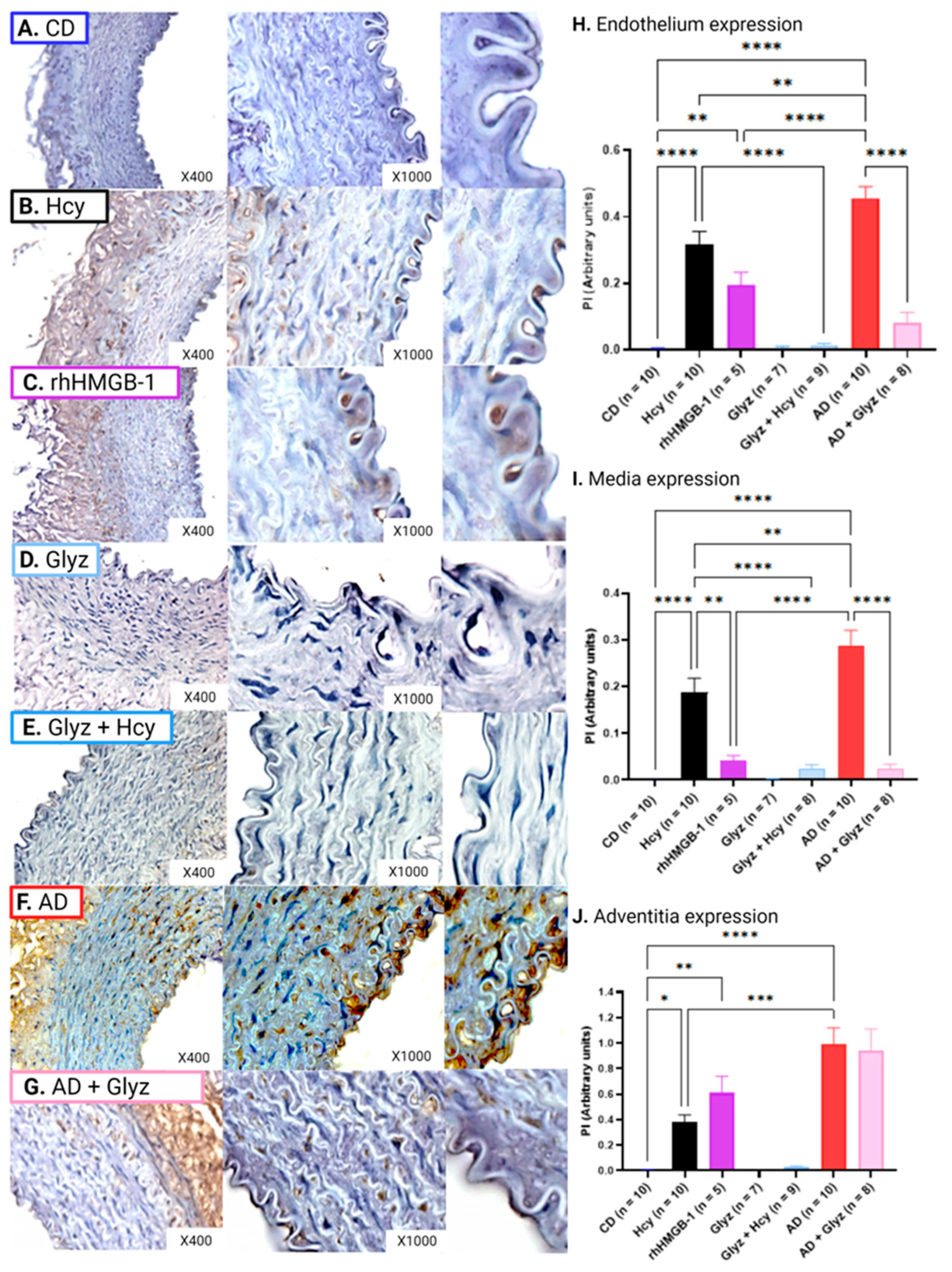 Nutrients 15 03186 g006 Nutrients 15 03186 g006