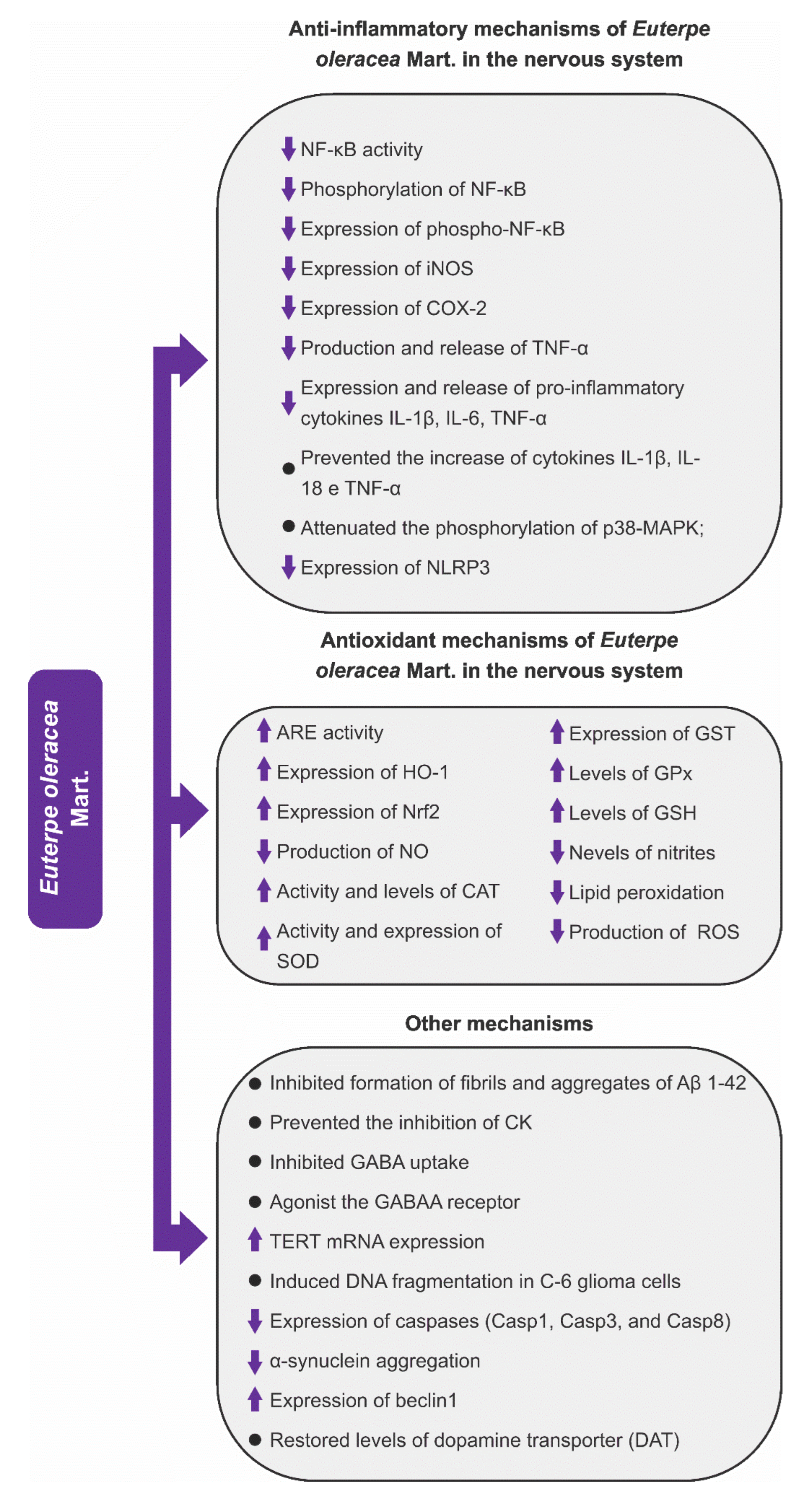 Nutrients 15 03189 g005 Nutrients 15 03189 g005