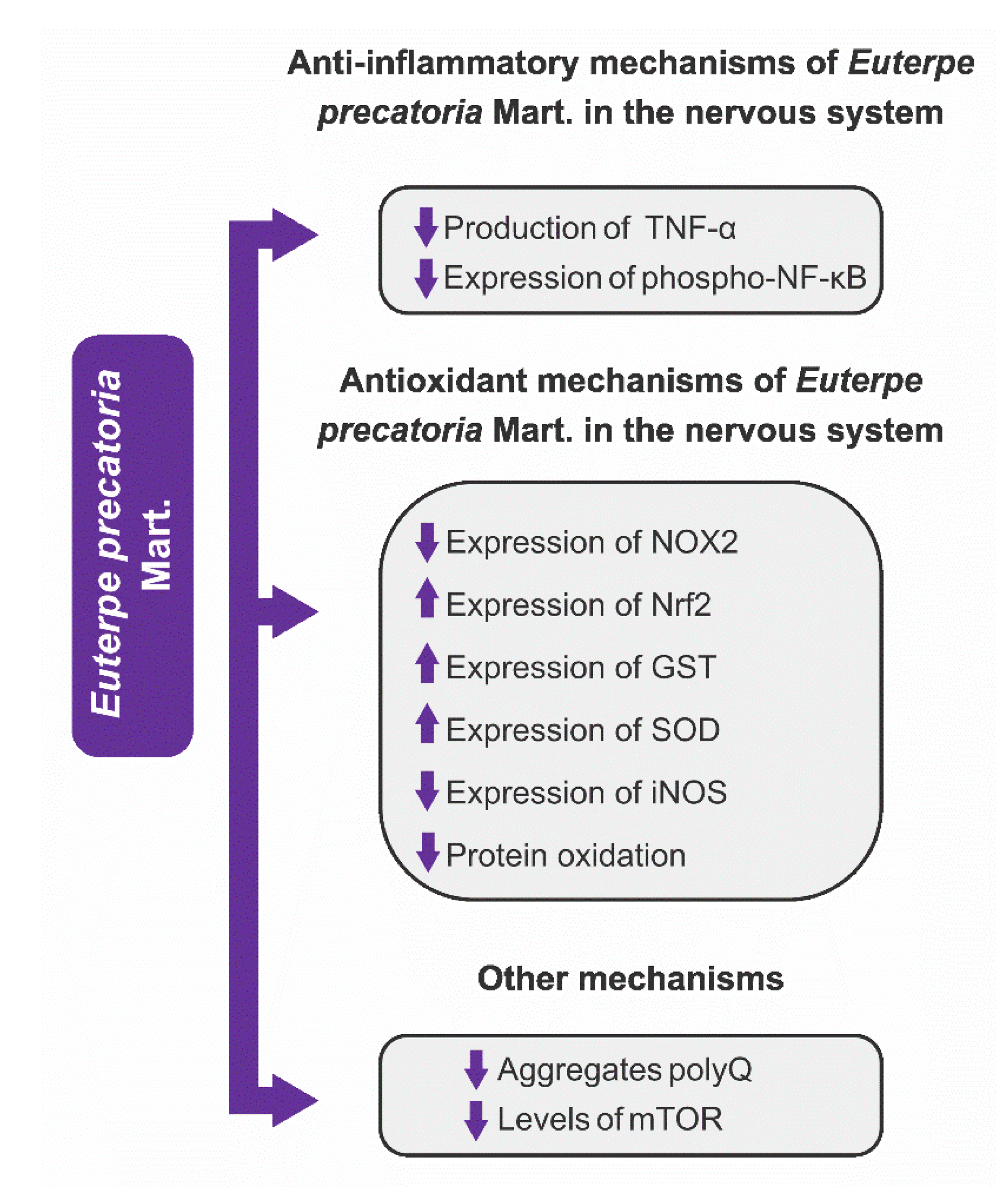 Nutrients 15 03189 g006 Nutrients 15 03189 g006