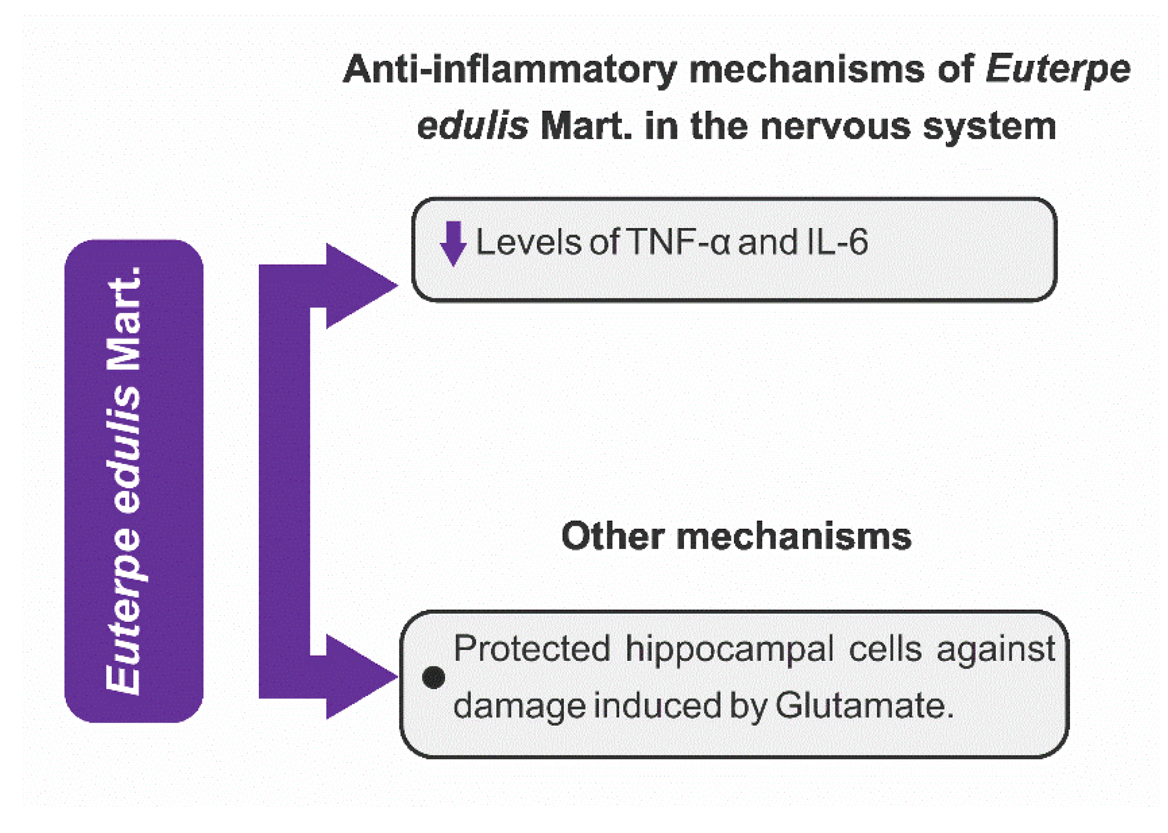 Nutrients 15 03189 g007 Nutrients 15 03189 g007