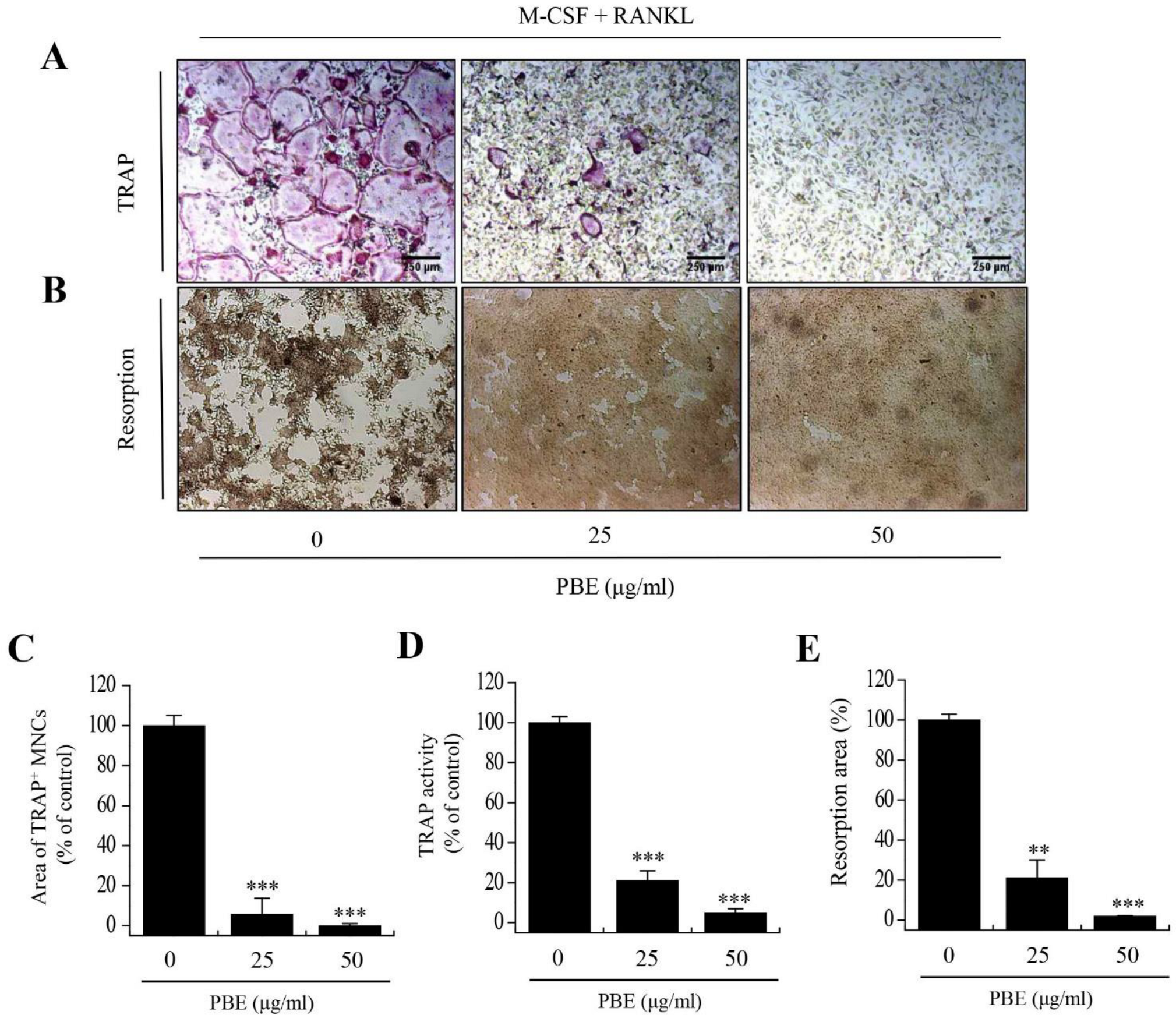 Nutrients 15 03193 g002