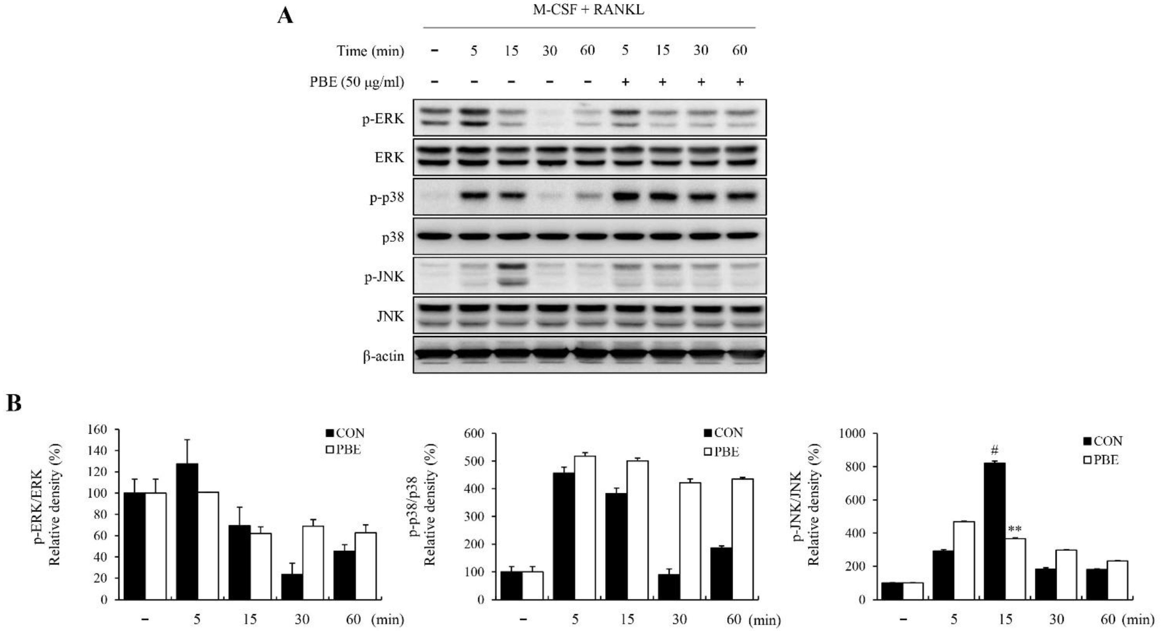 Nutrients 15 03193 g004