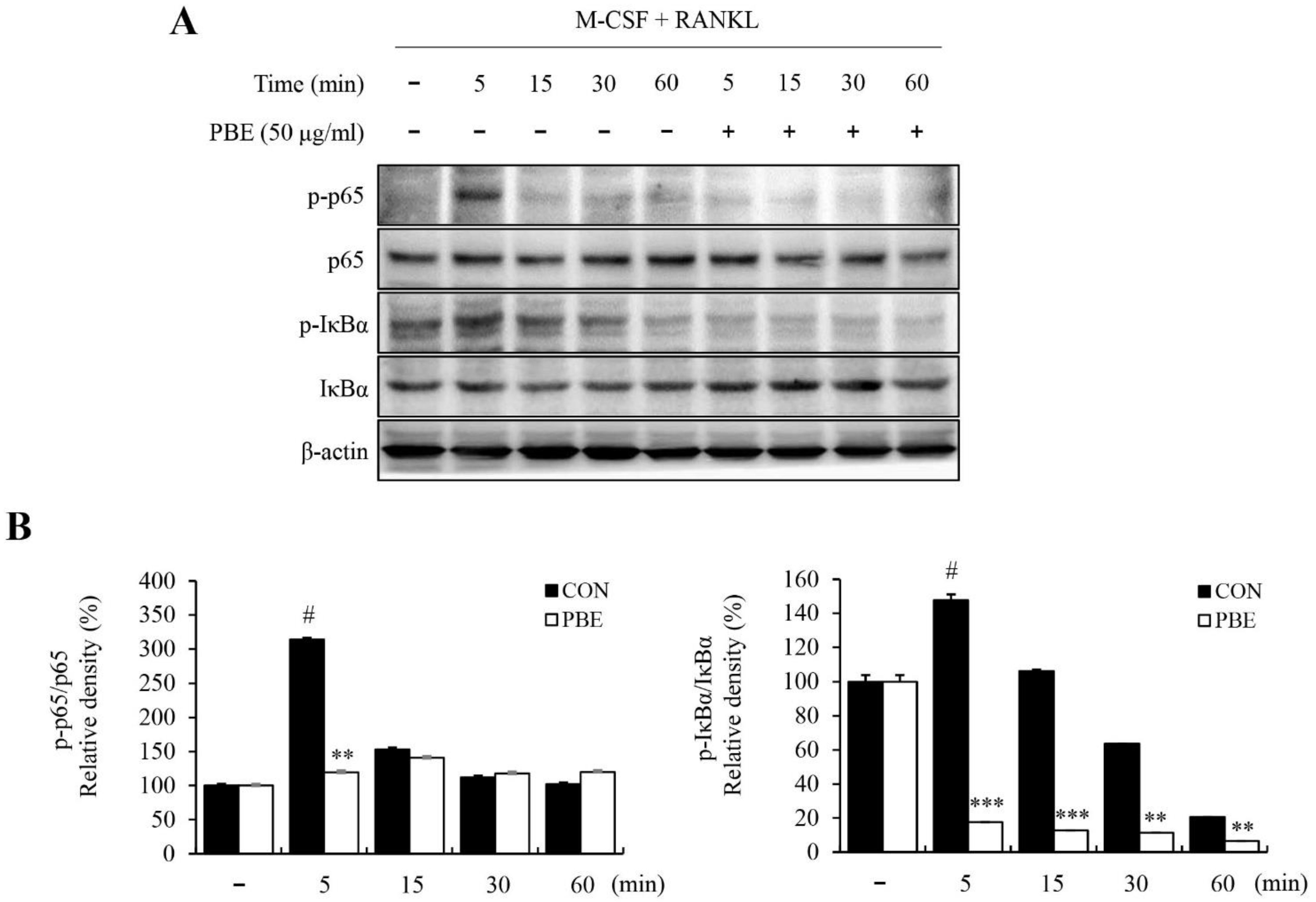 Nutrients 15 03193 g005