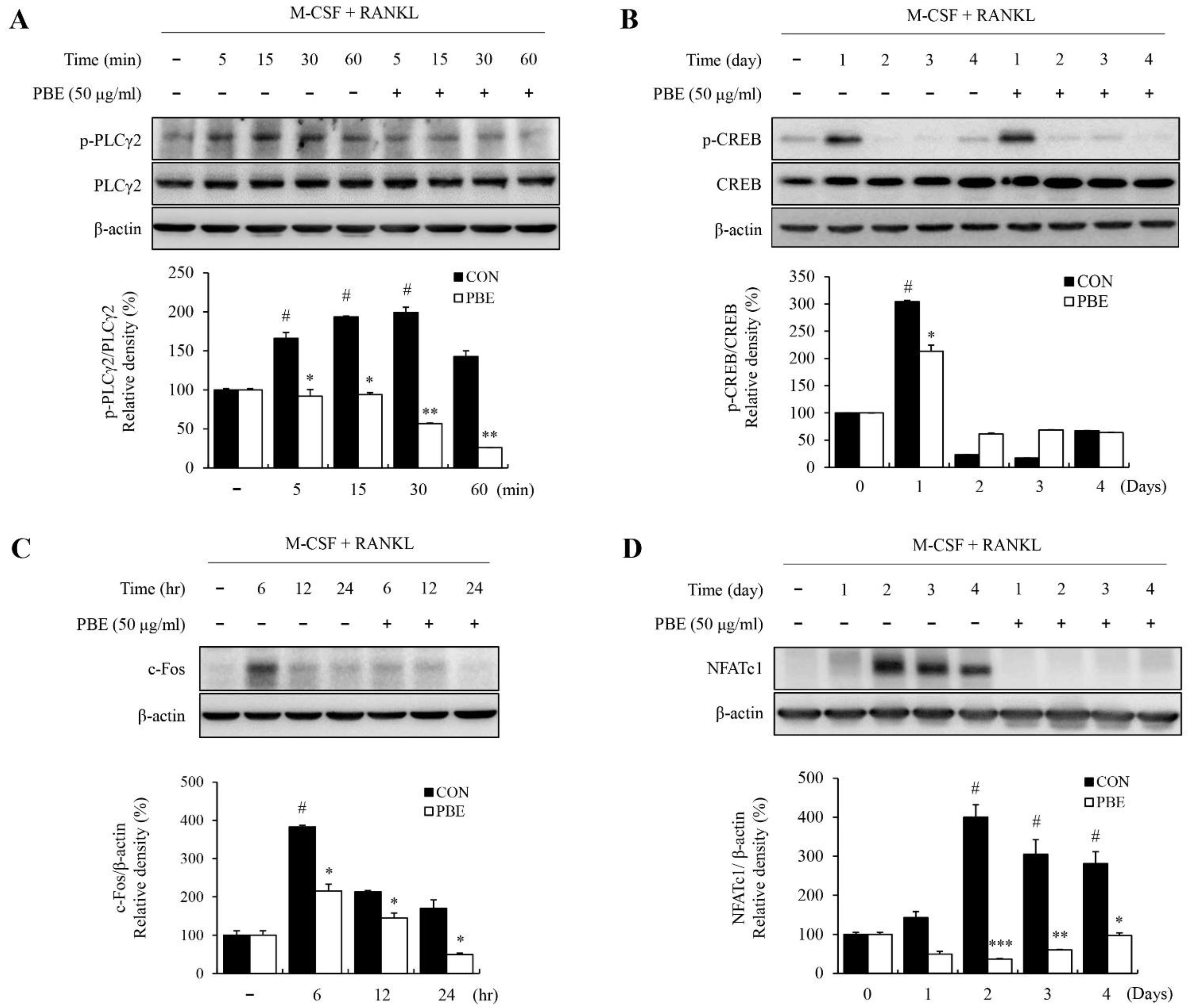 Nutrients 15 03193 g006