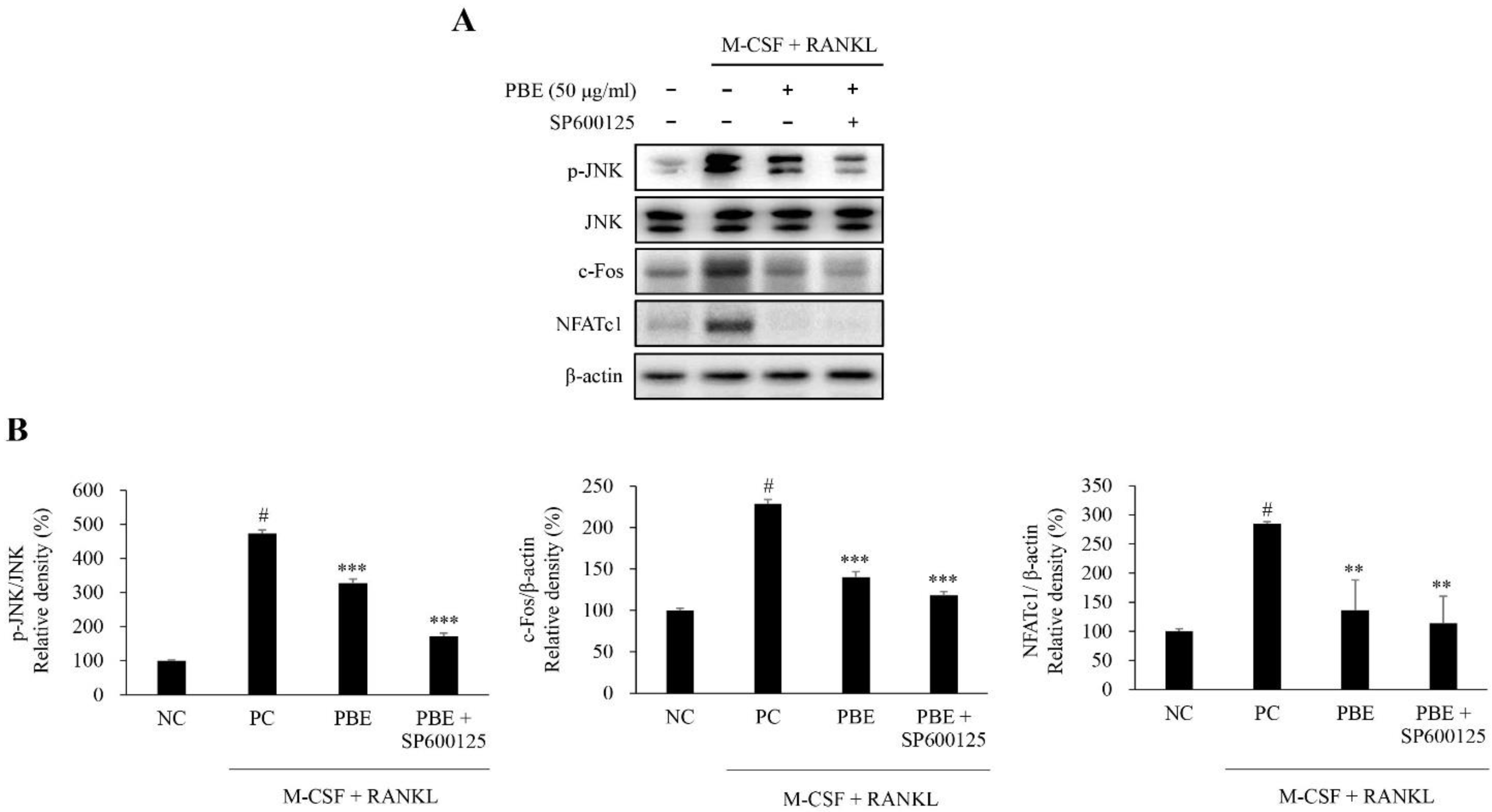 Nutrients 15 03193 g007