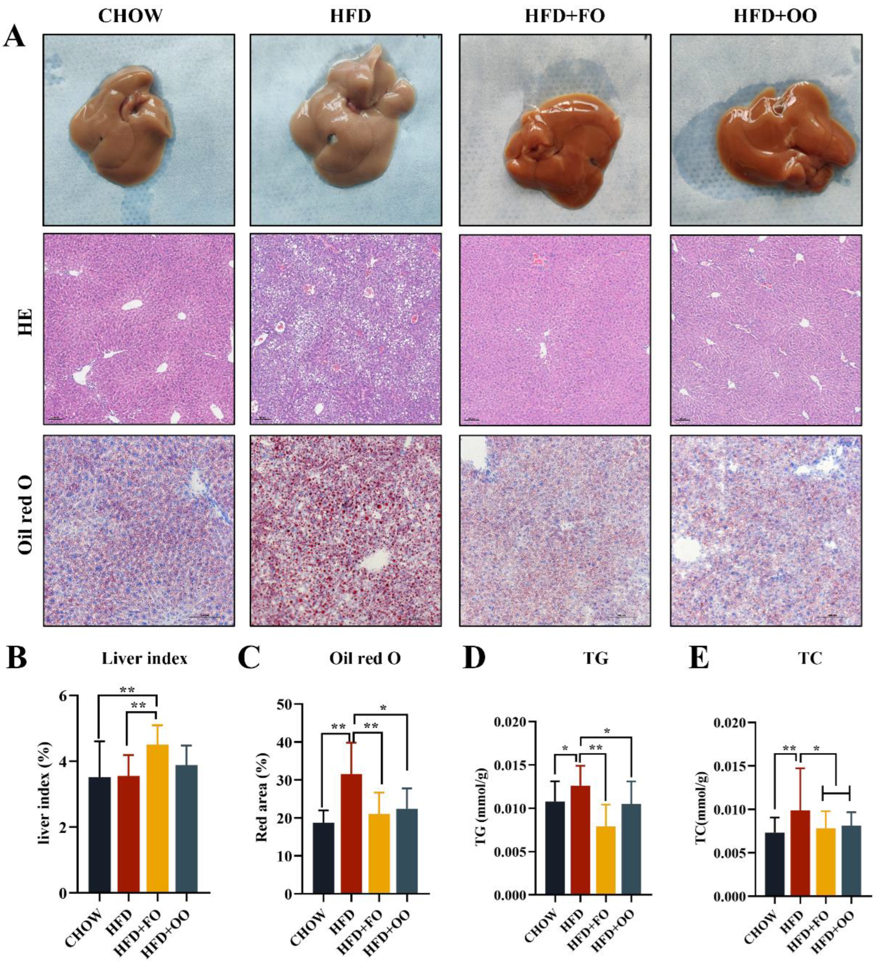 Nutrients 15 03200 g004 Nutrients 15 03200 g004