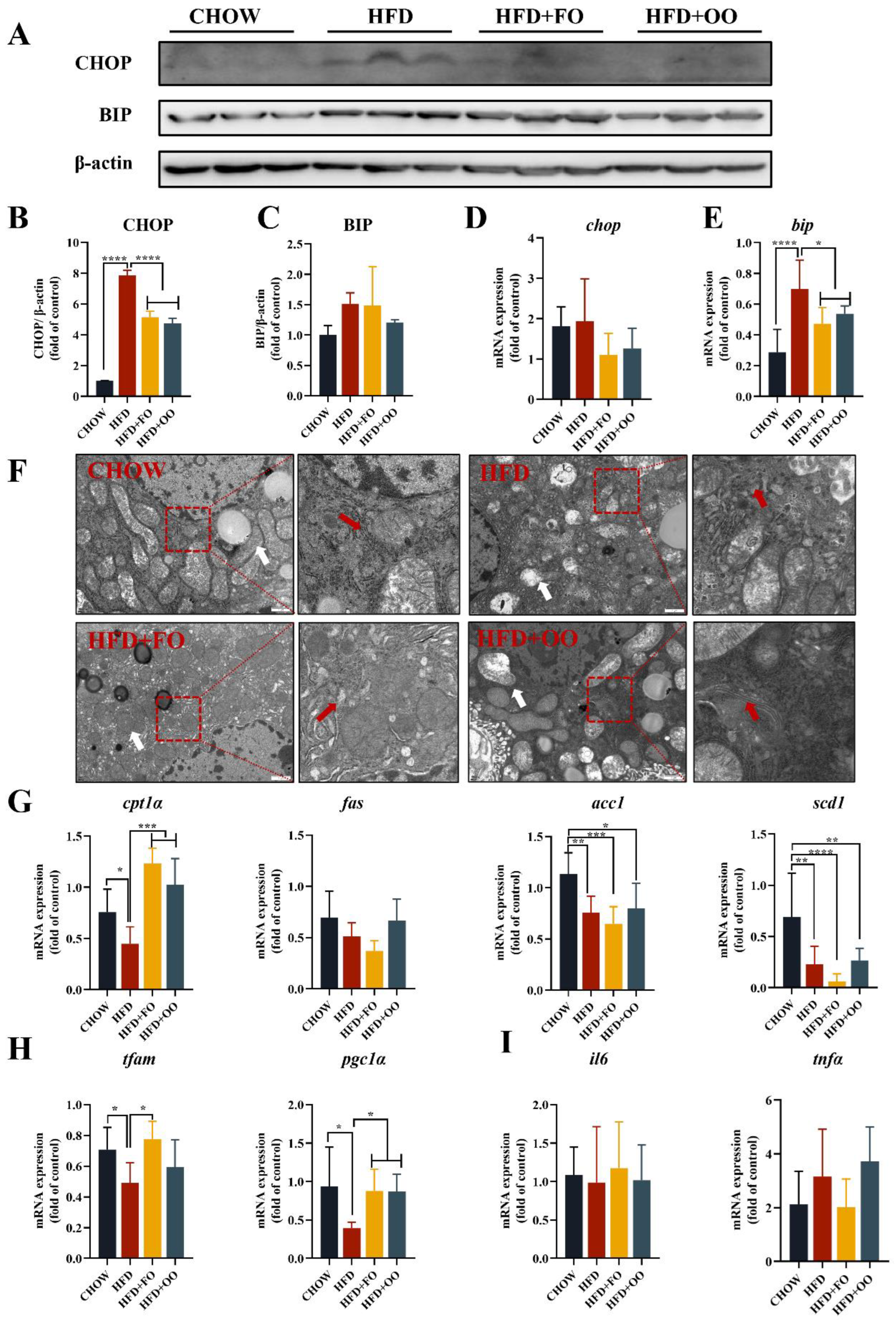 Nutrients 15 03200 g005 Nutrients 15 03200 g005