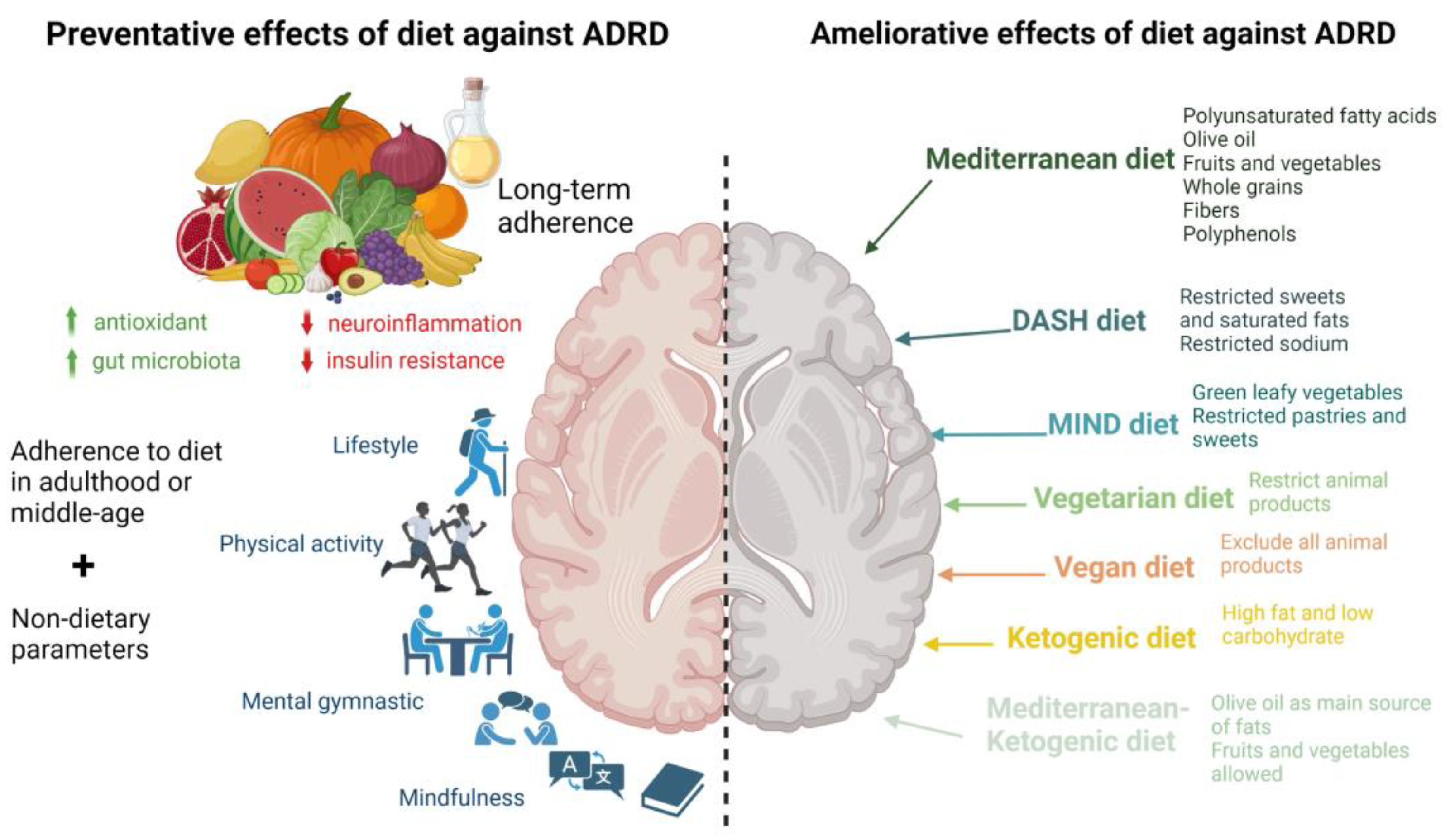 Things That Slow Down Alzheimer's Disease