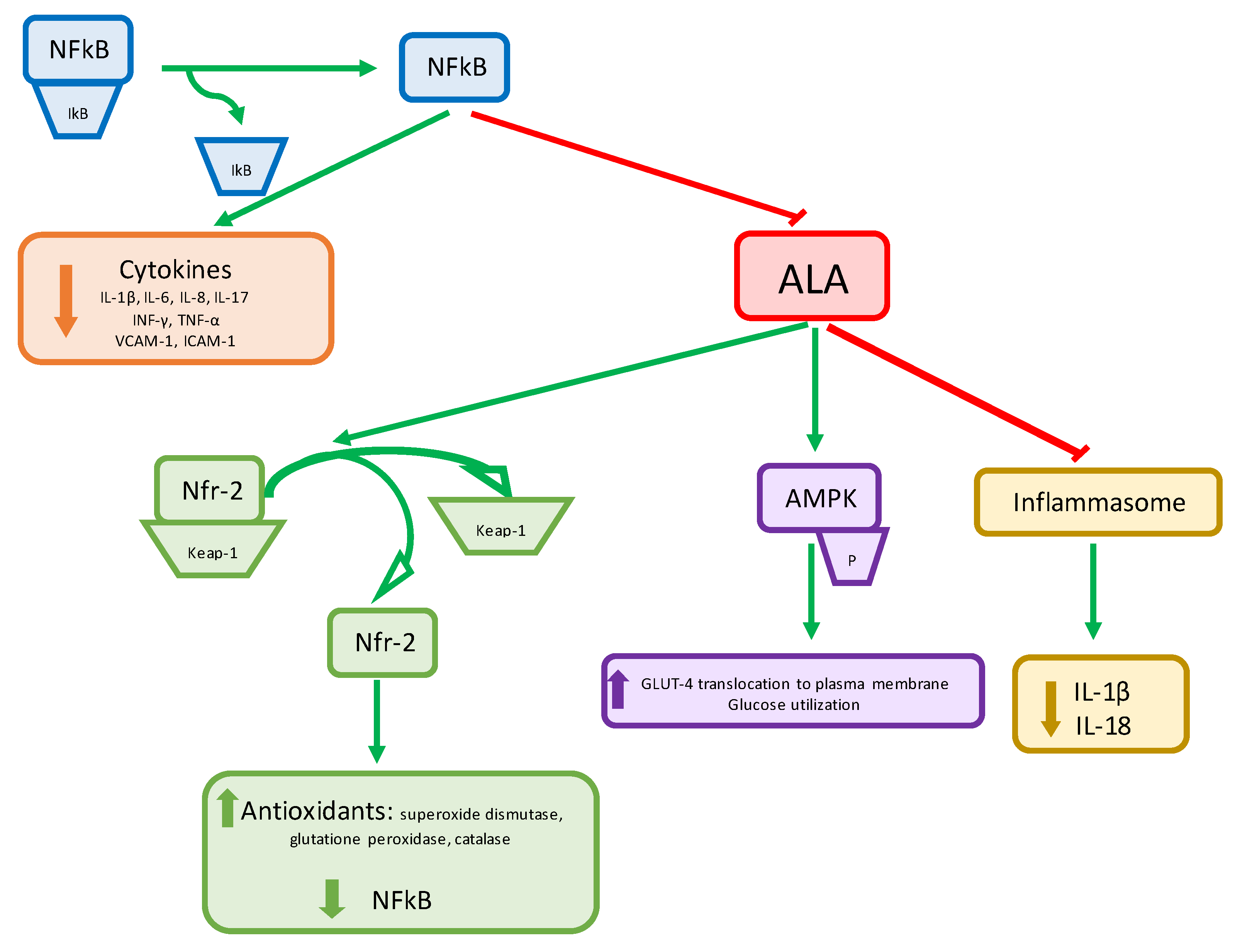 Nutrients 15 03209 g001 Nutrients 15 03209 g001