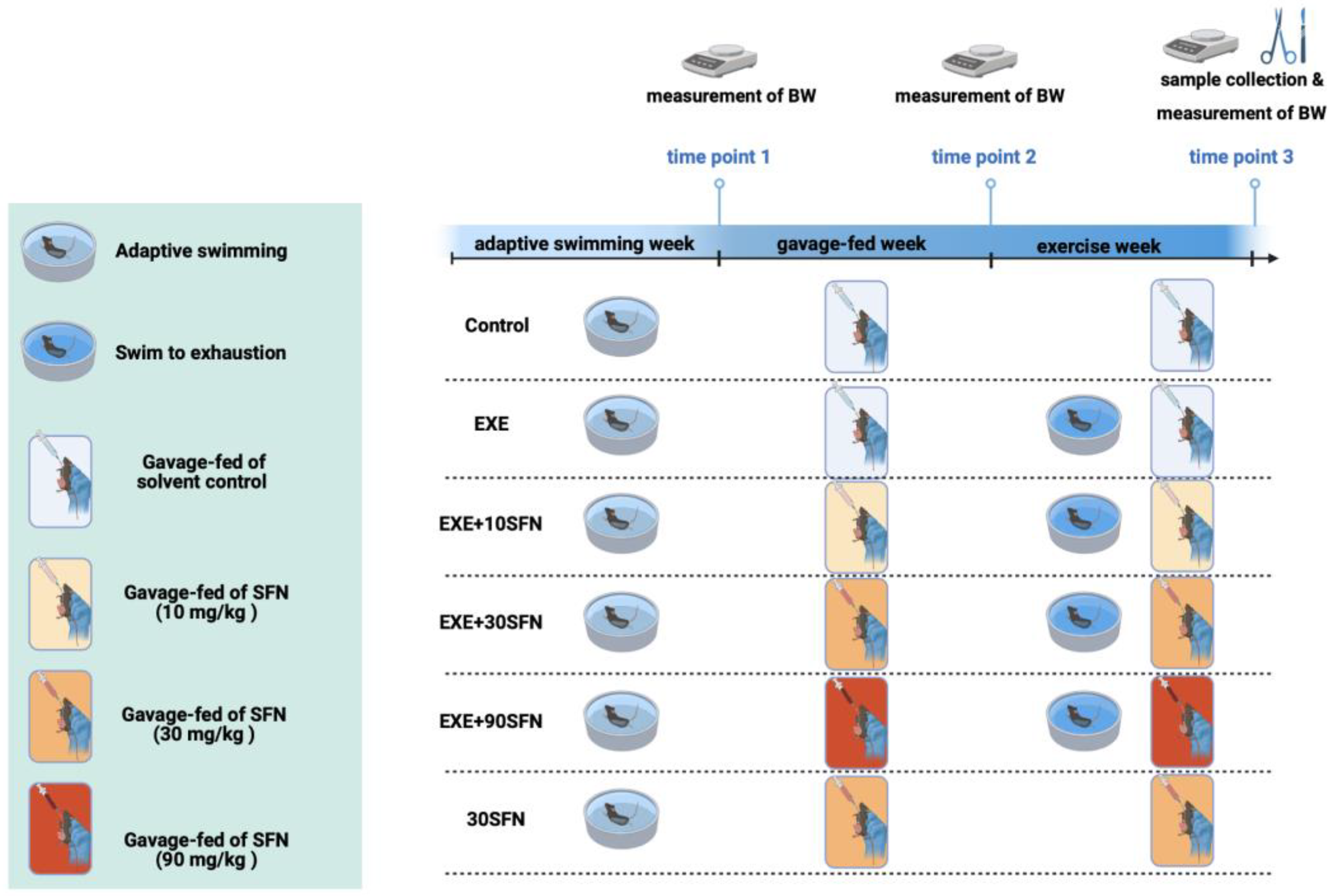 Nutrients 15 03220 g001