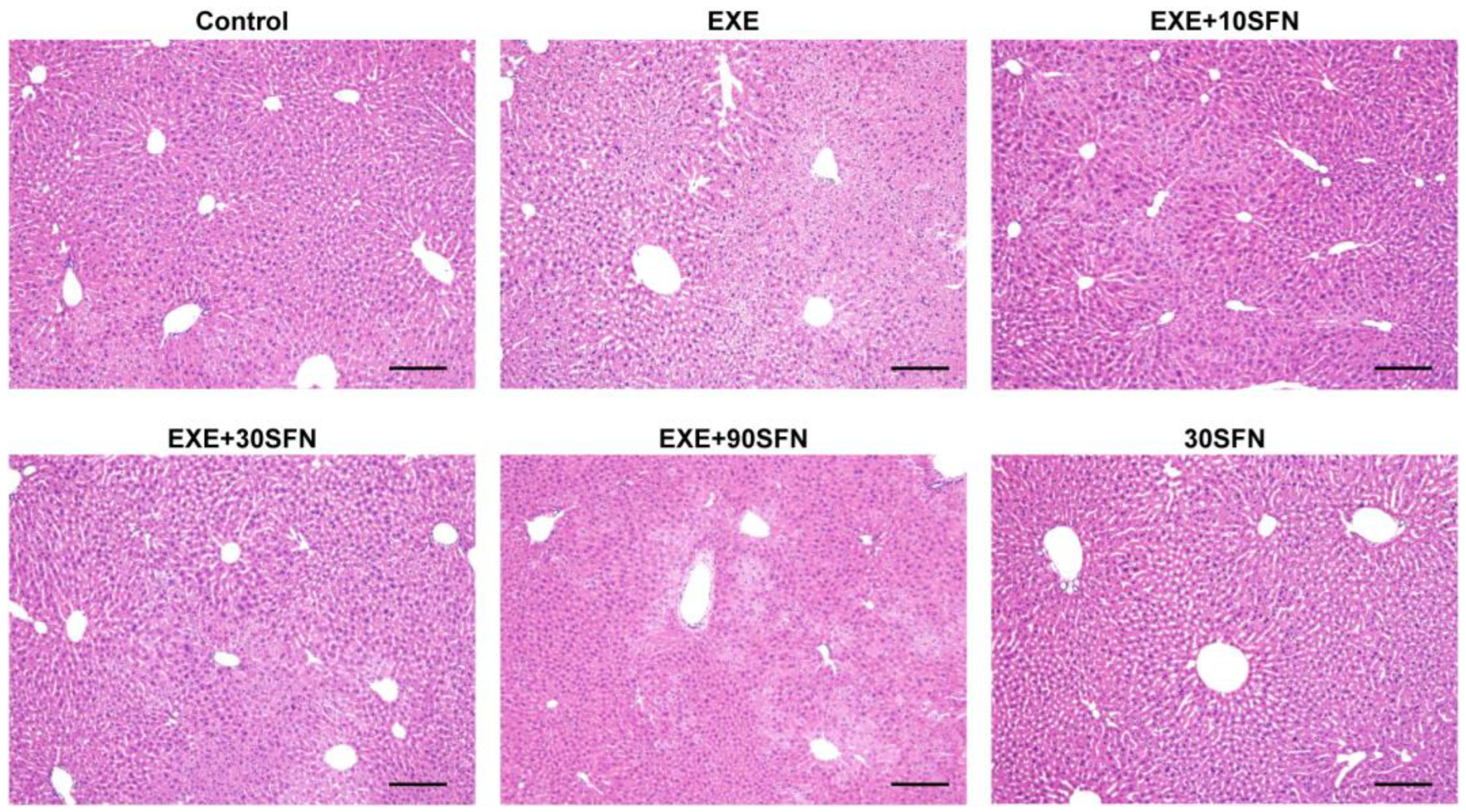 Nutrients 15 03220 g004