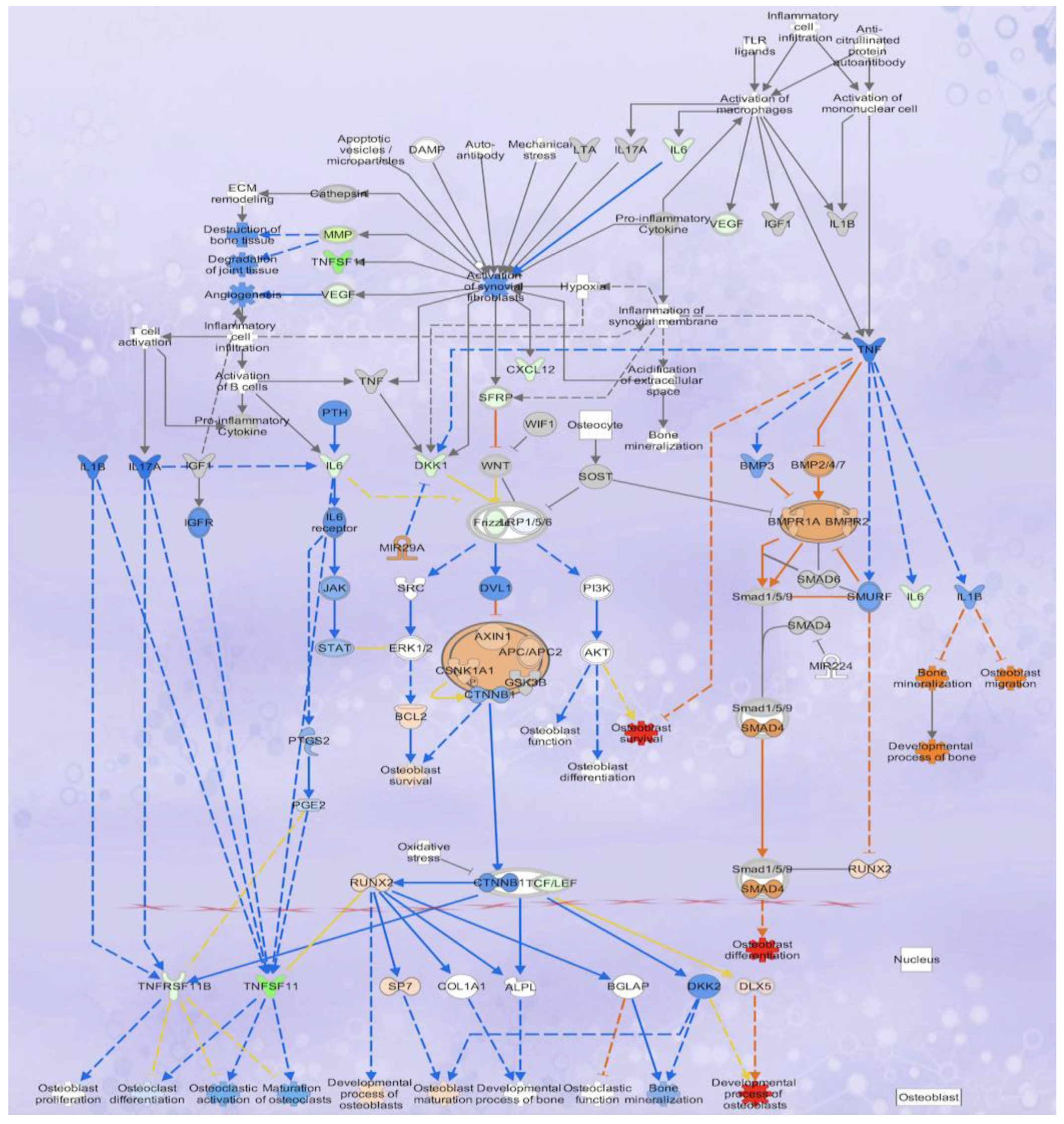 Nutrients 15 03233 g005