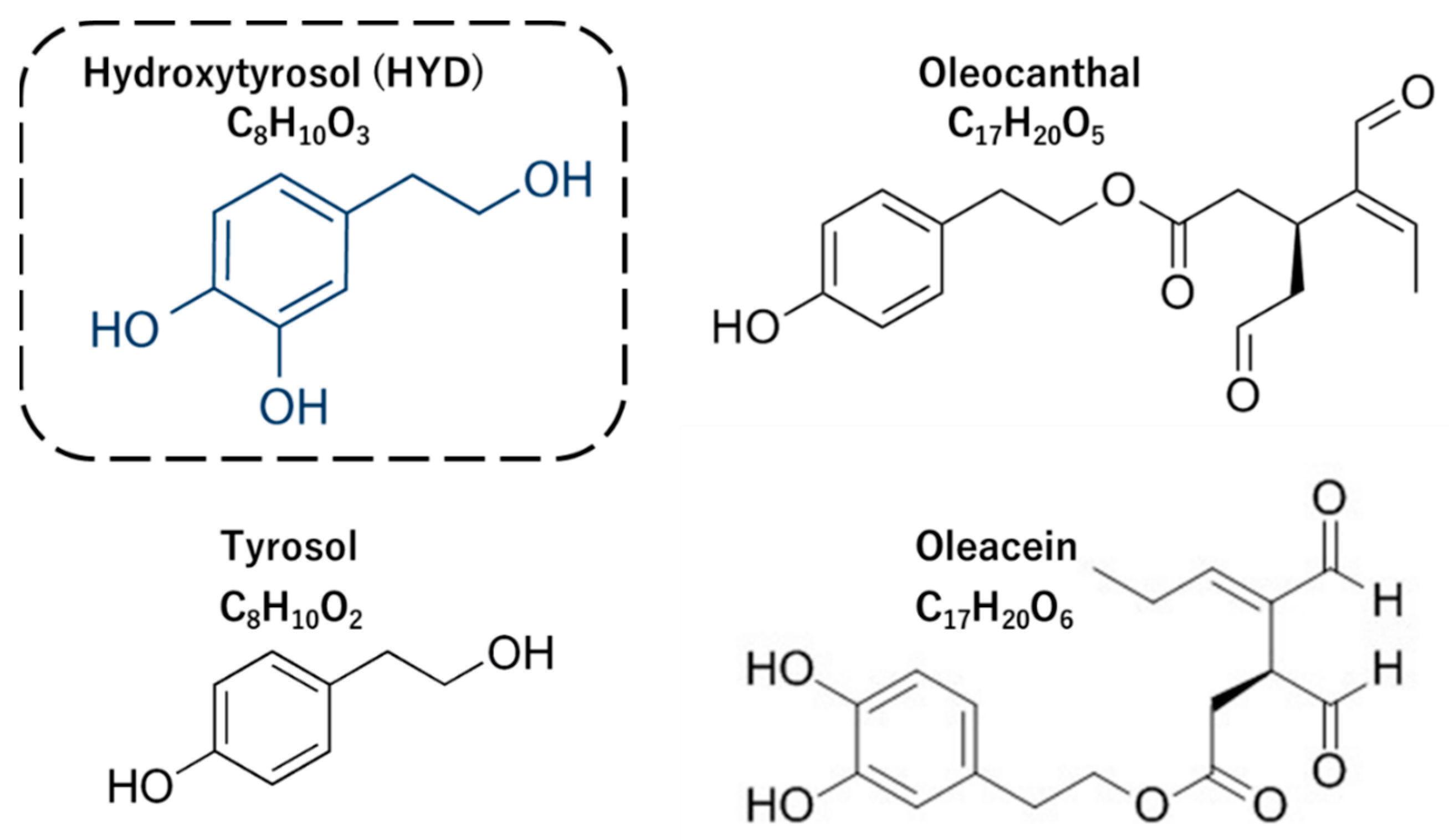 Nutrients 15 03234 g002 Nutrients 15 03234 g002