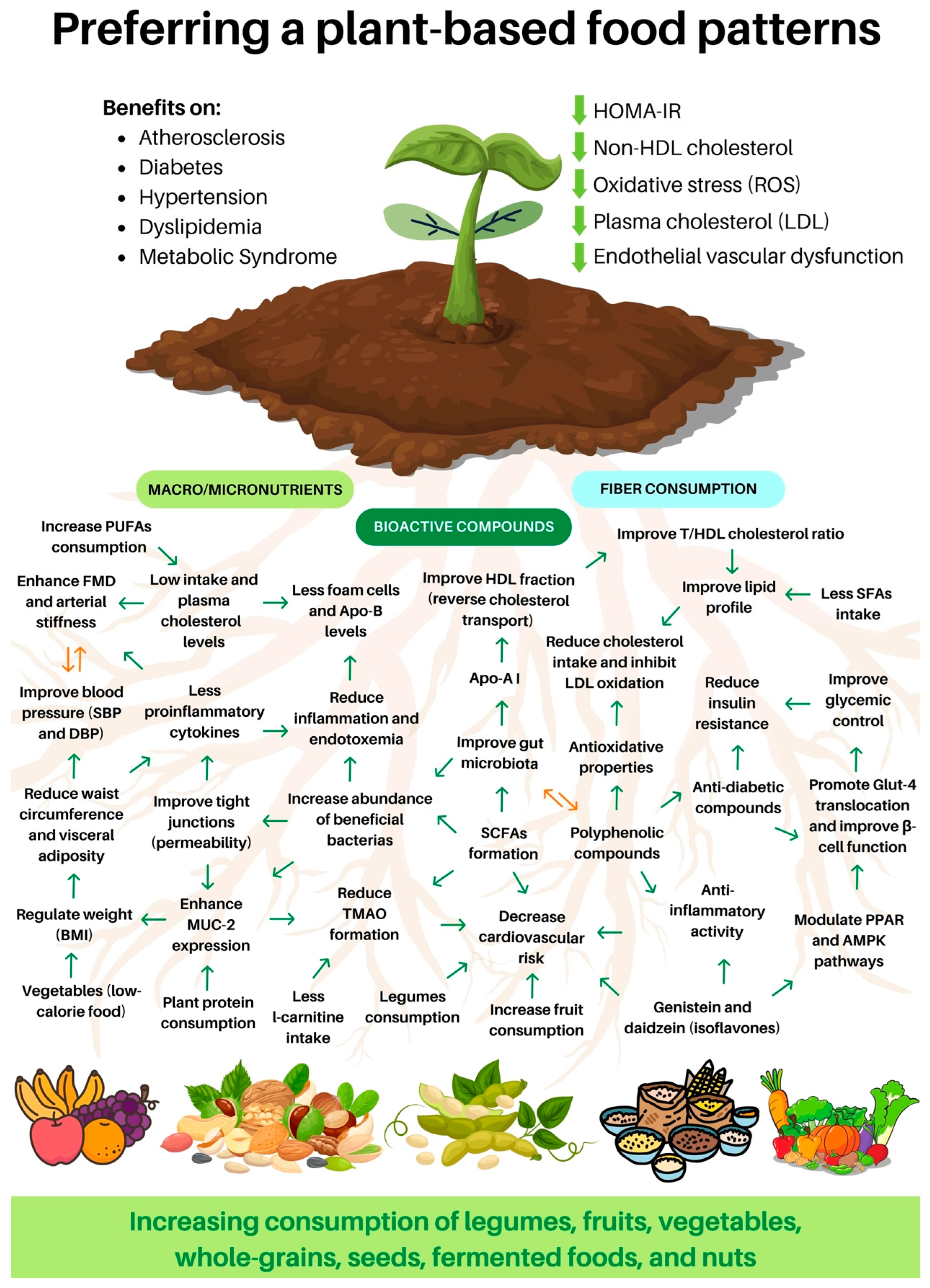 Nutrients 15 03244 g002 Nutrients 15 03244 g002