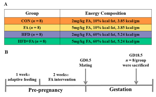 Identification of Spatial Specific Lipid Metabolic