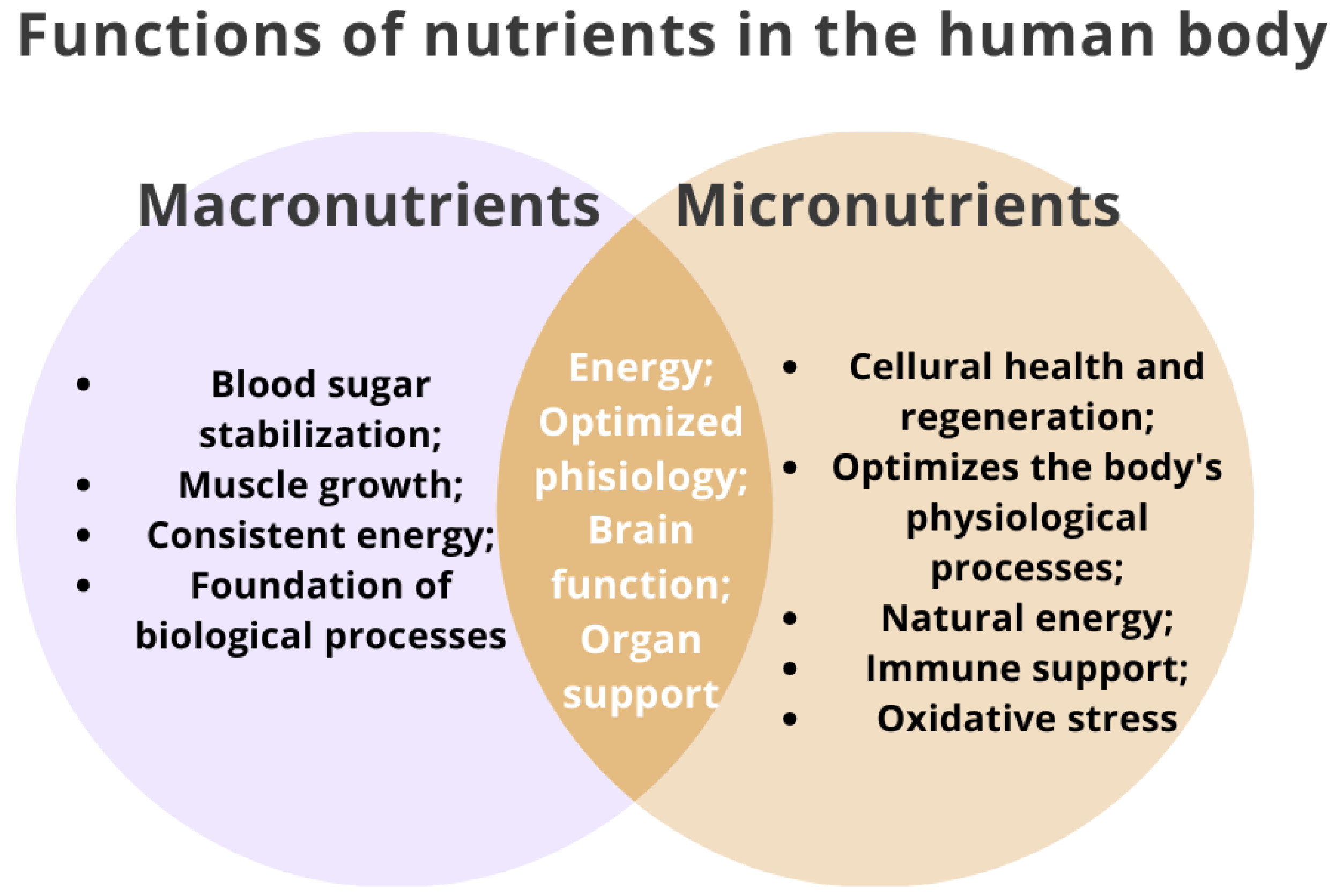 Nutrients Free FullText How Do Minerals, Vitamins, and Intestinal