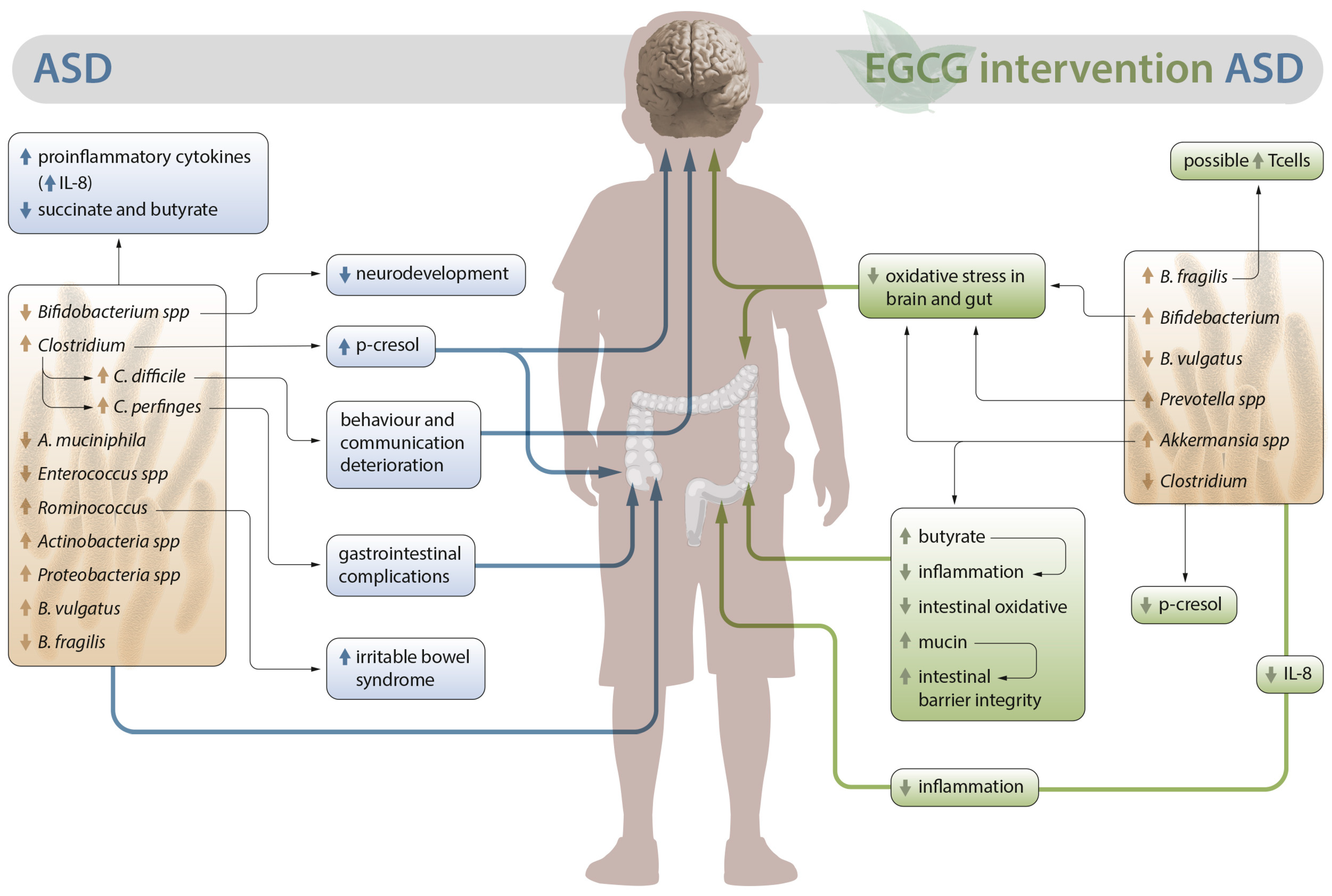 Nutrients 15 03265 g001 Nutrients 15 03265 g001