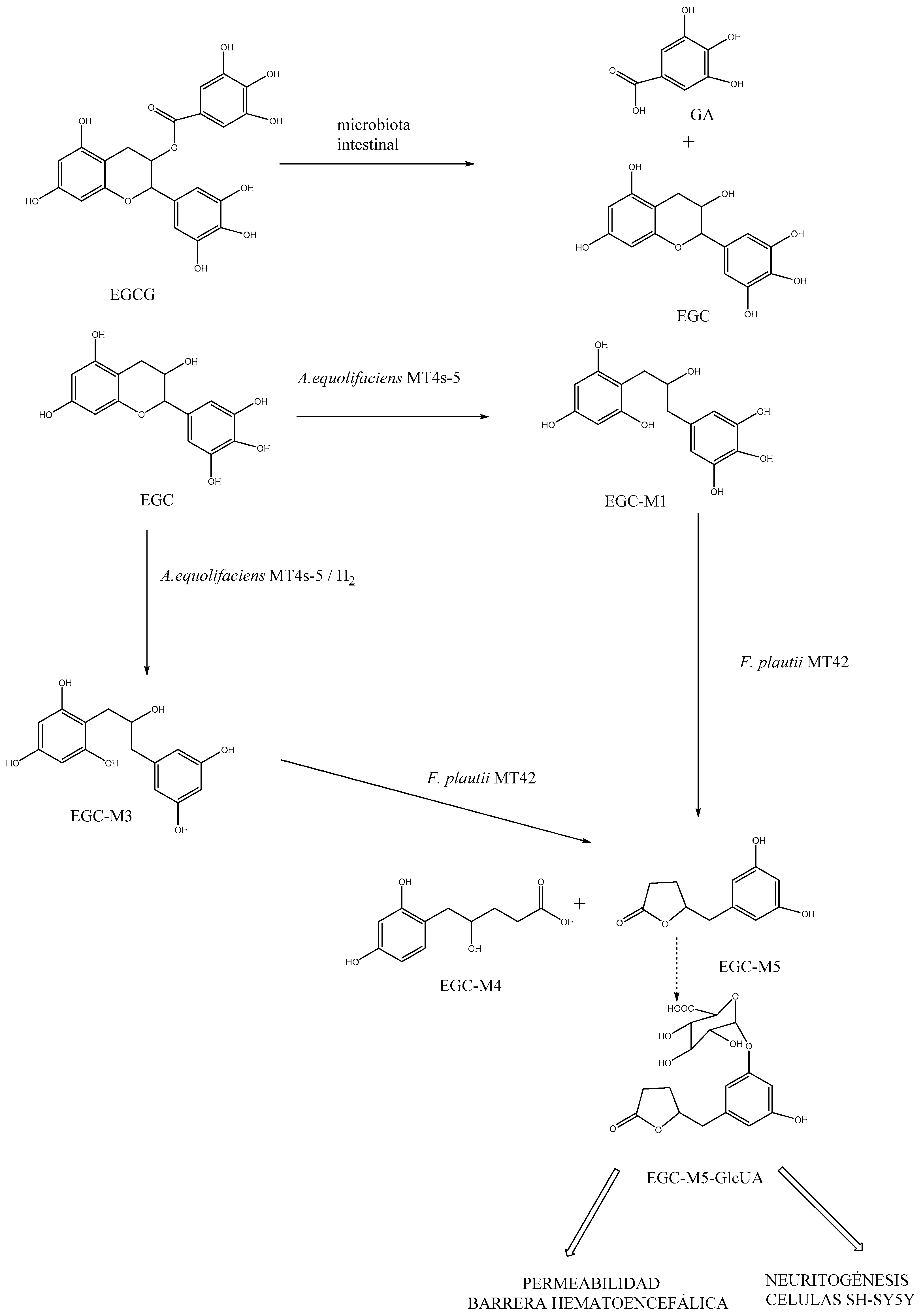 Nutrients 15 03265 g002 Nutrients 15 03265 g002