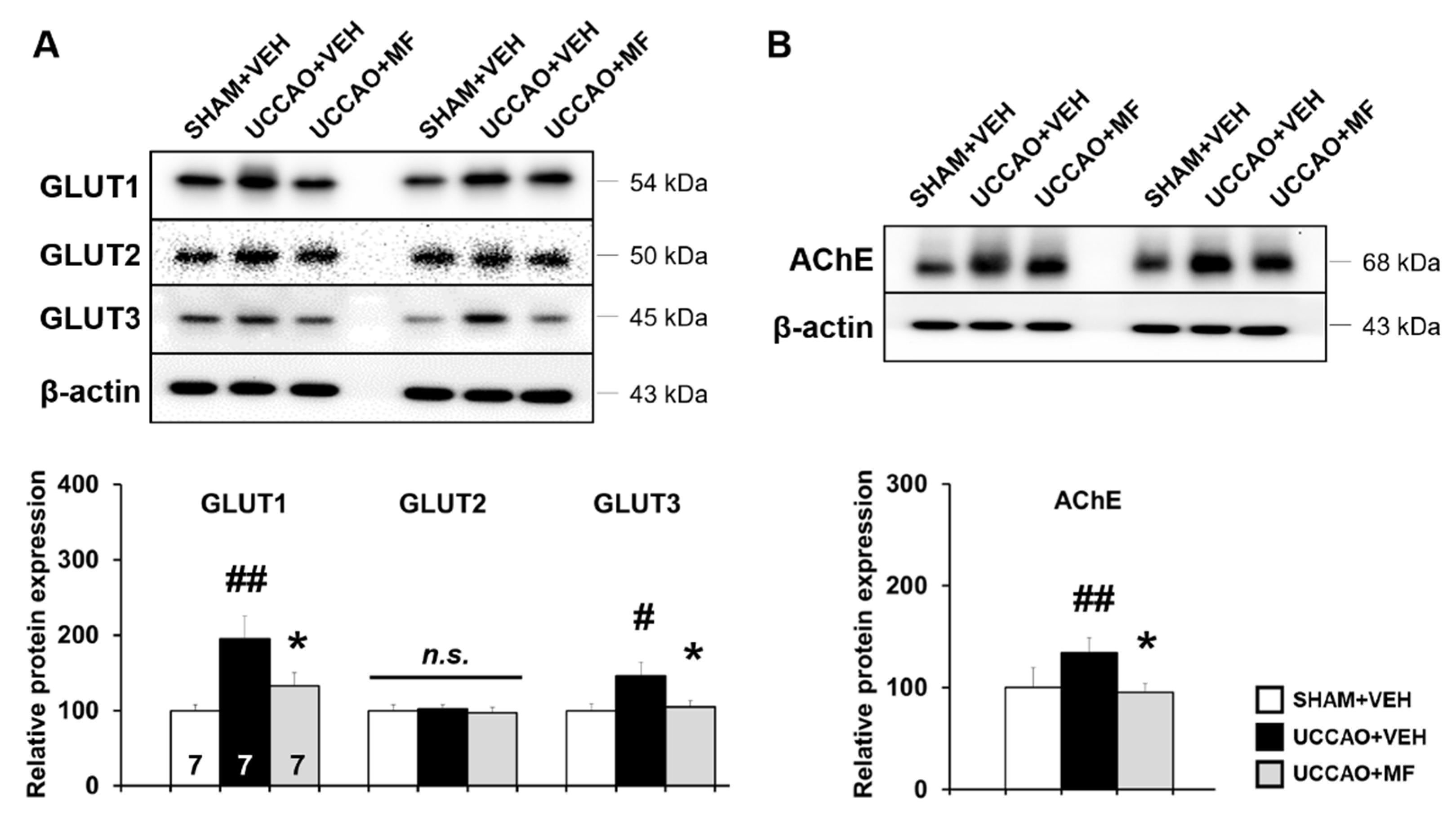 Nutrients 15 03271 g005