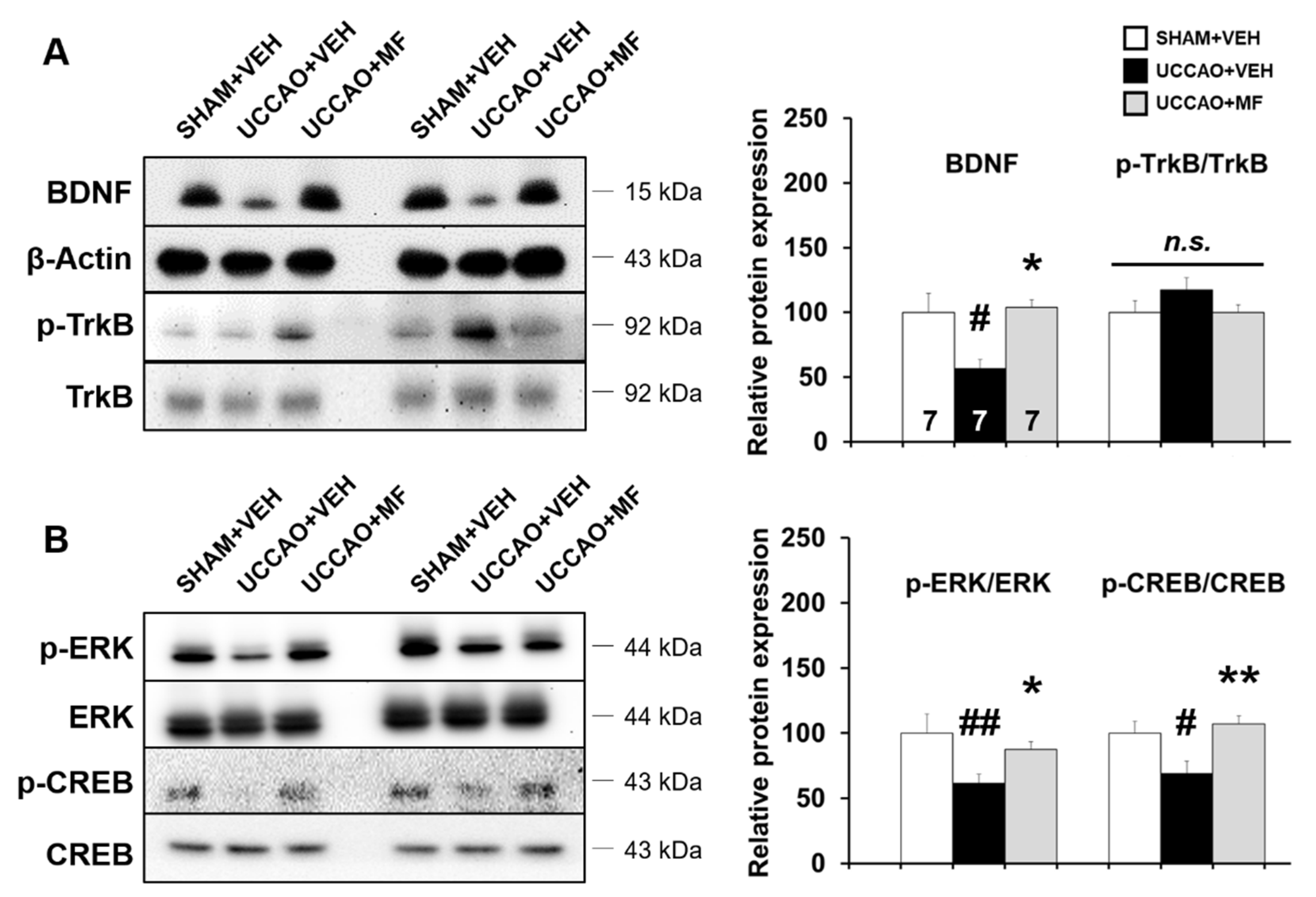 Nutrients 15 03271 g006