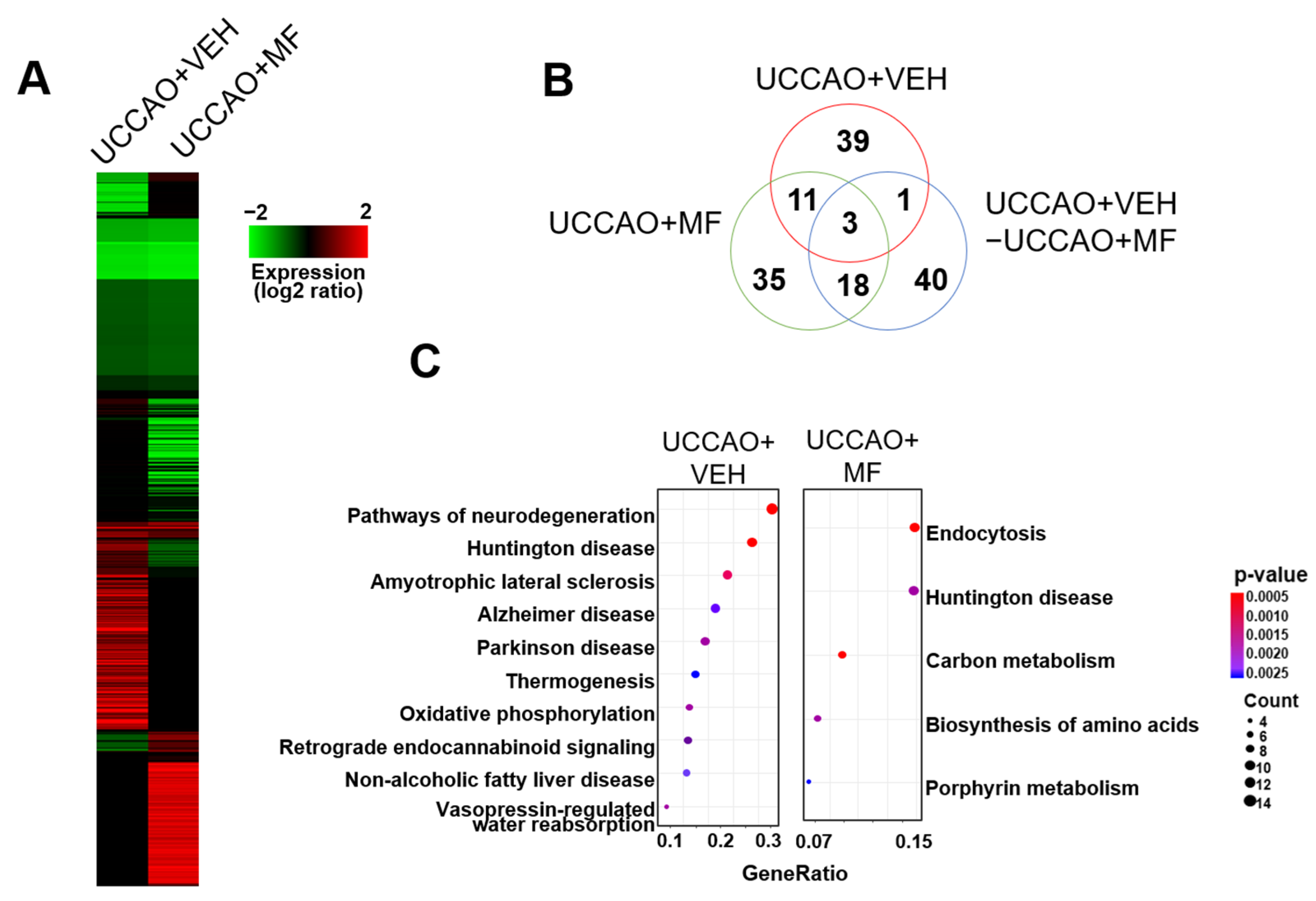 Nutrients 15 03271 g007