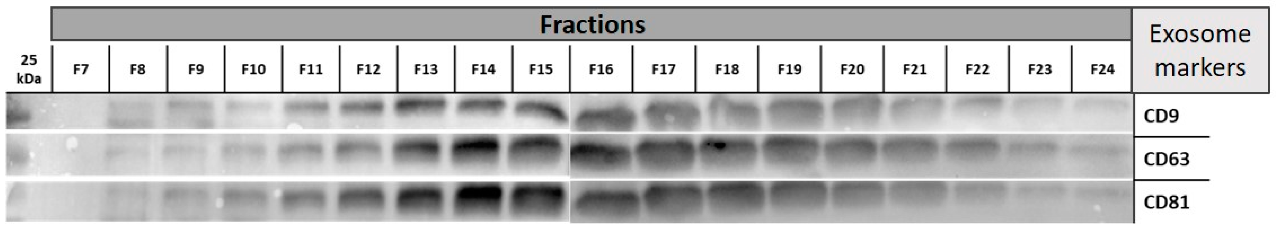 Nutrients 15 03284 g001 Nutrients 15 03284 g001