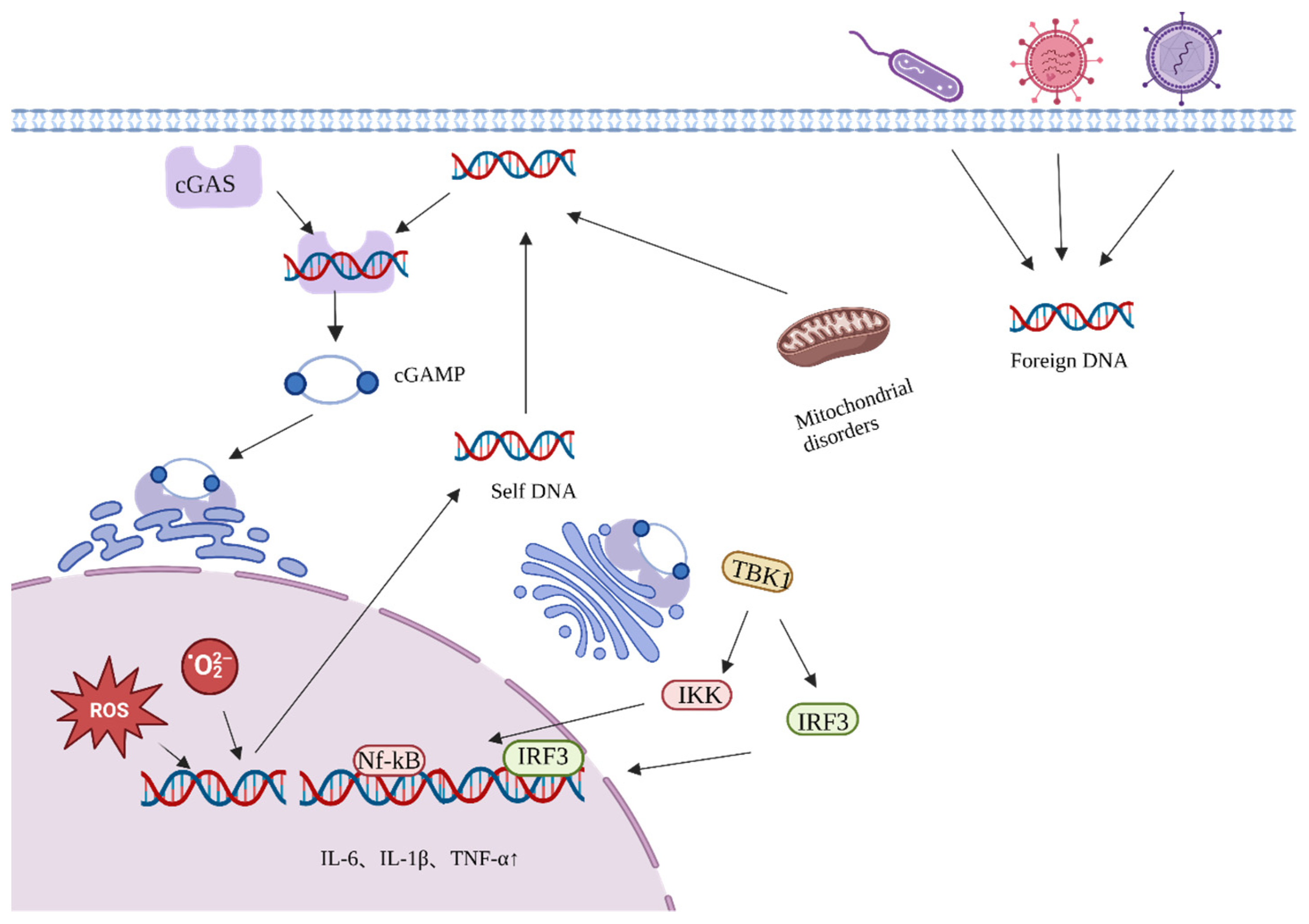 Nutrients 15 03286 g002
