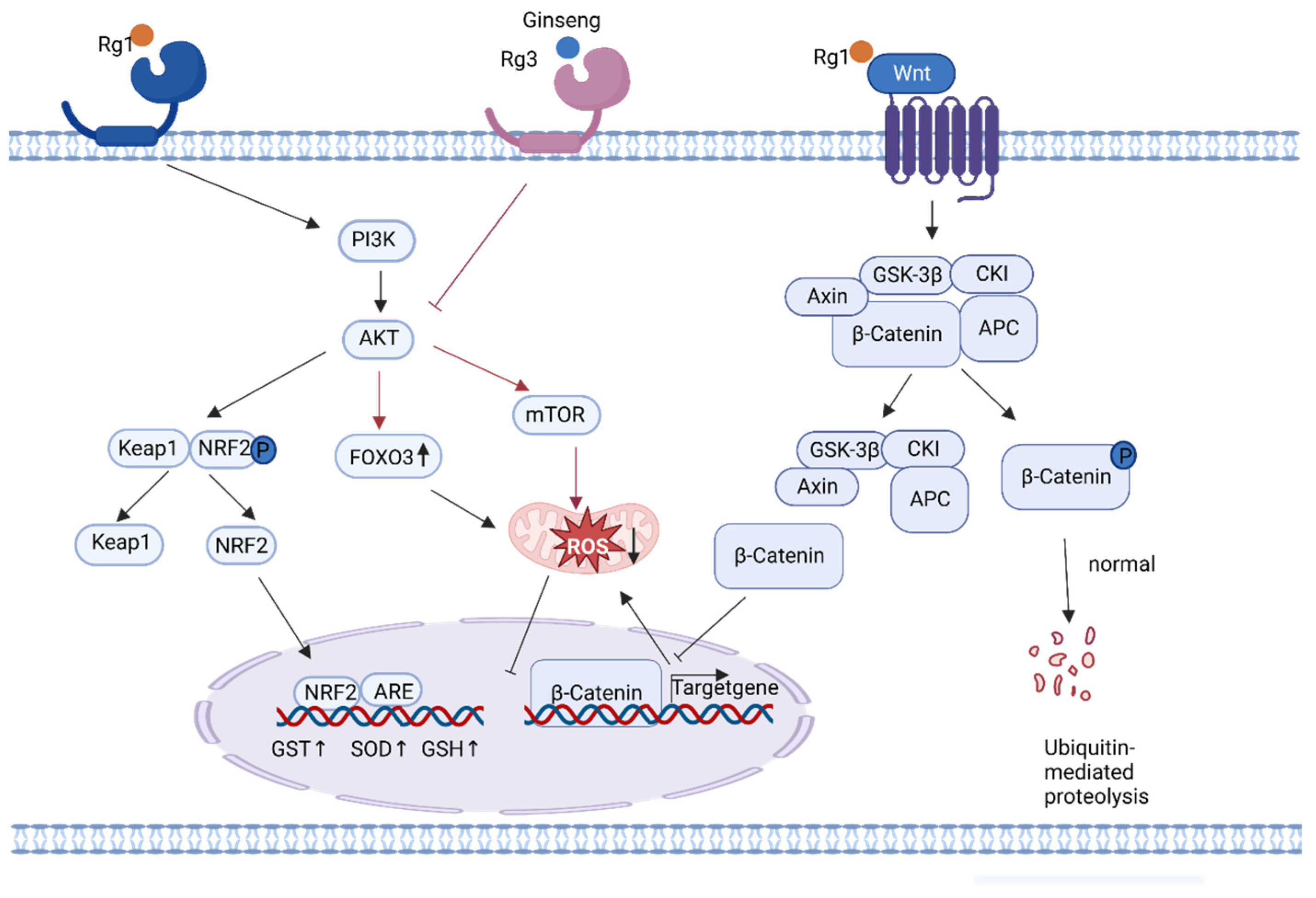 Nutrients 15 03286 g003