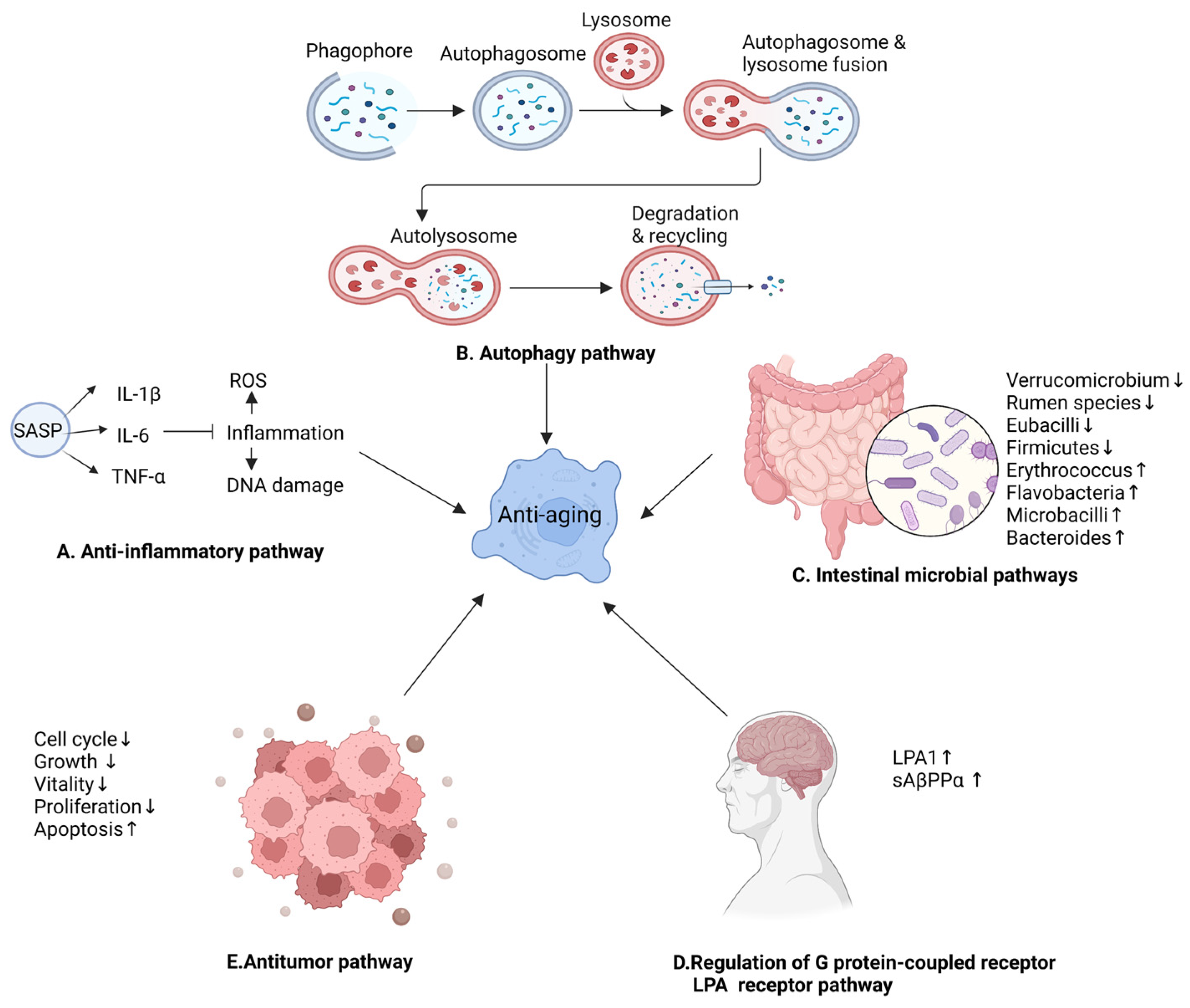 Nutrients 15 03286 g006
