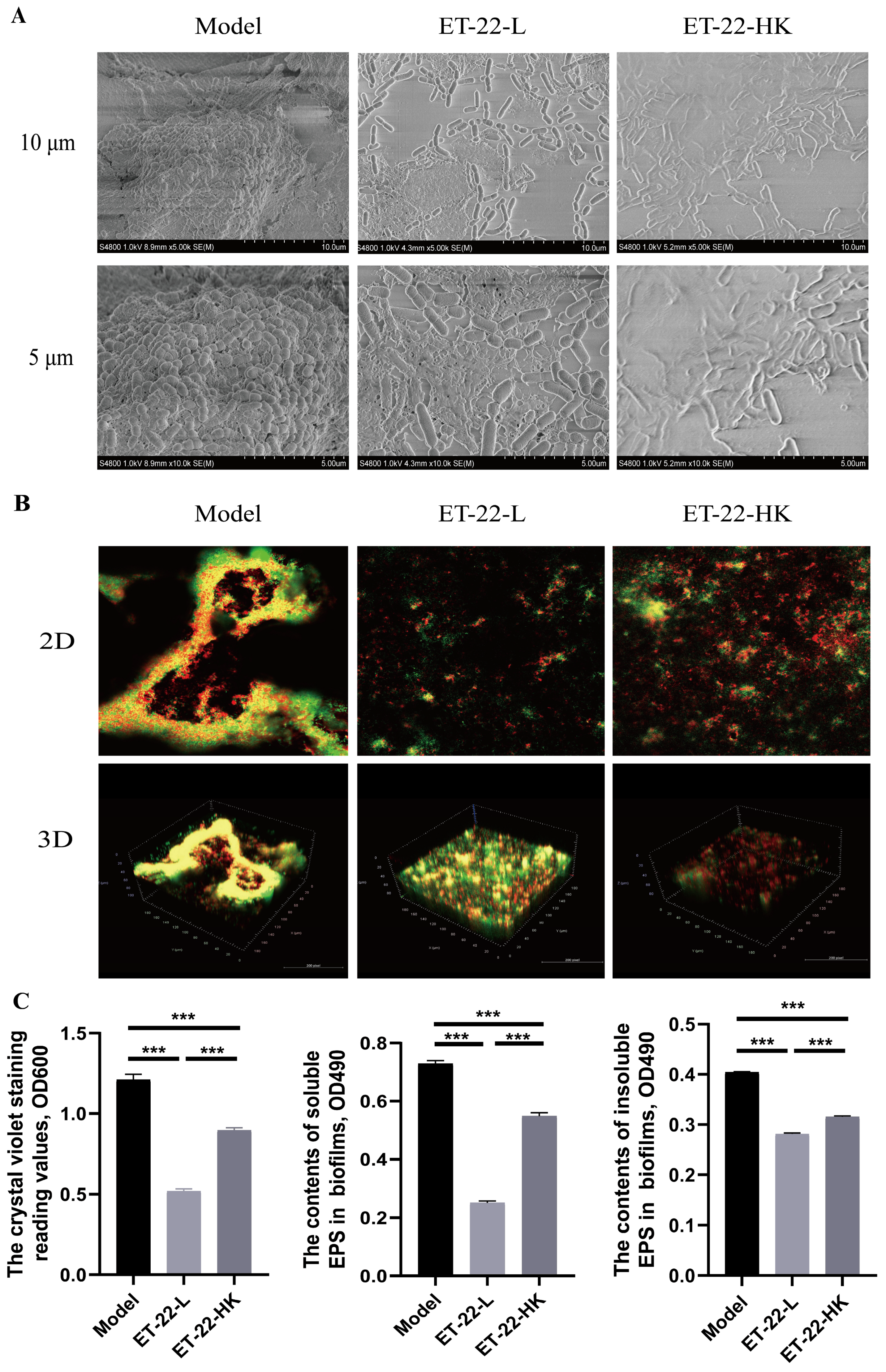 Nutrients 15 03316 g005 Nutrients 15 03316 g005