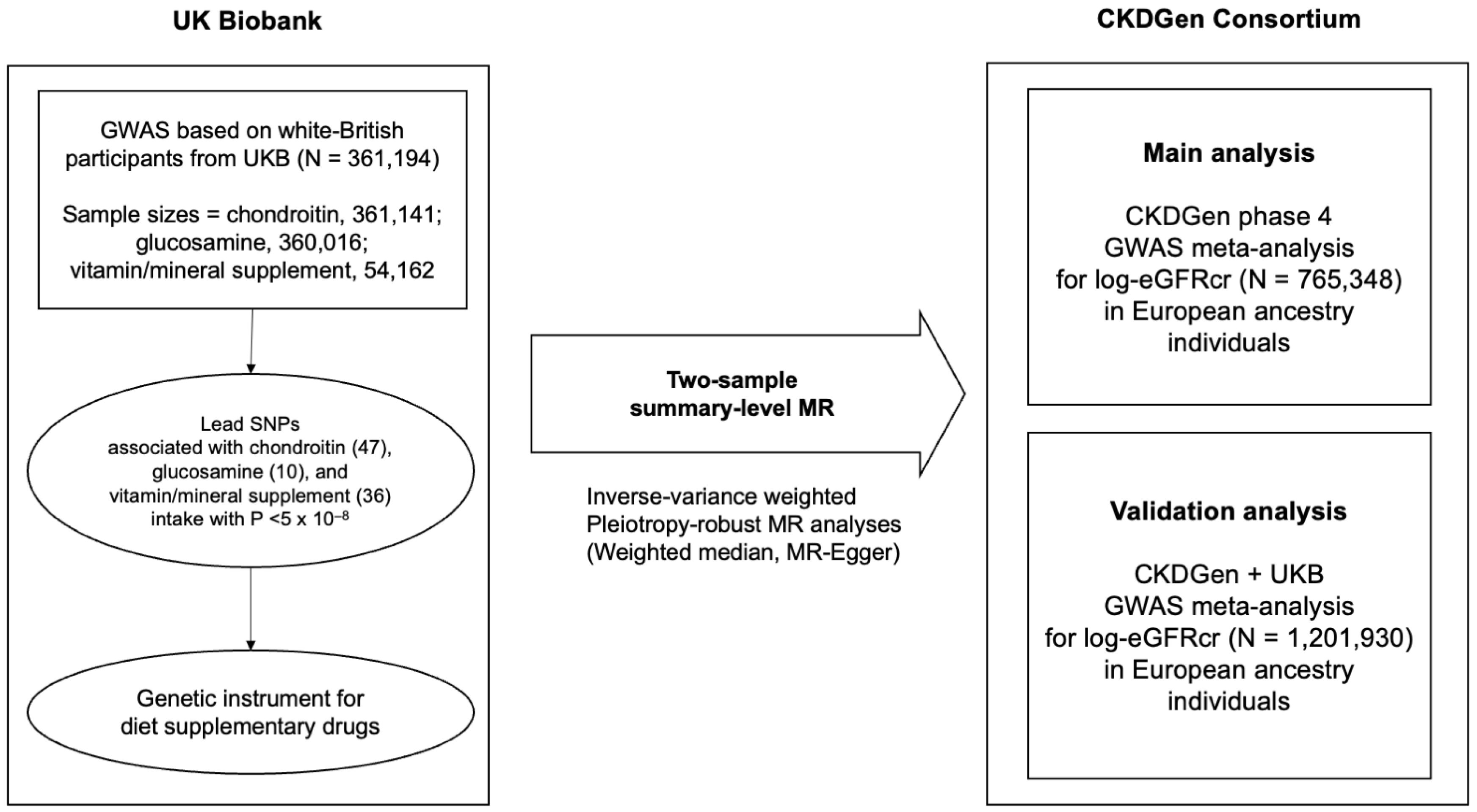 Nutrients Free FullText Causal Effect of Chondroitin, Glucosamine