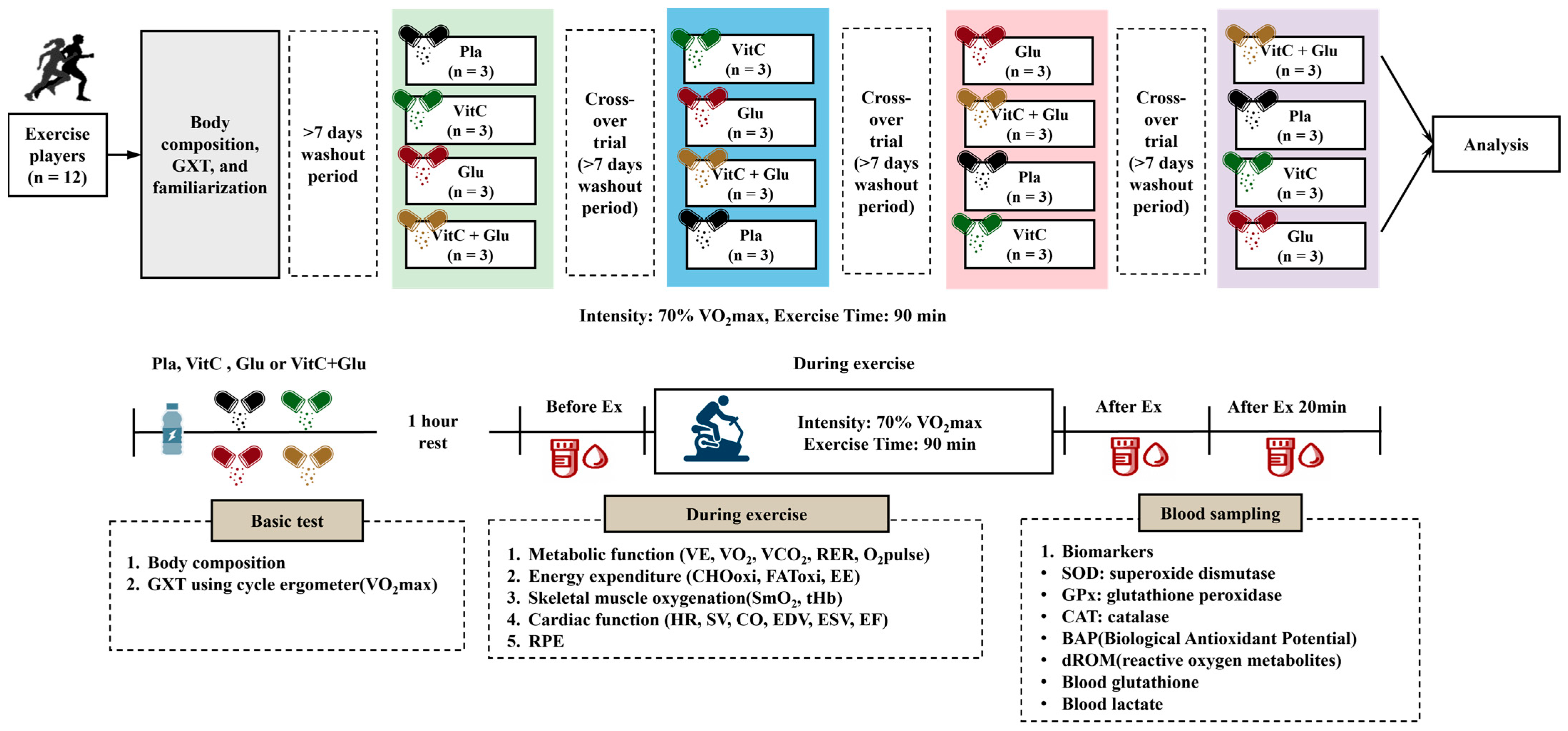 Nutrients 15 03324 g001 Nutrients 15 03324 g001