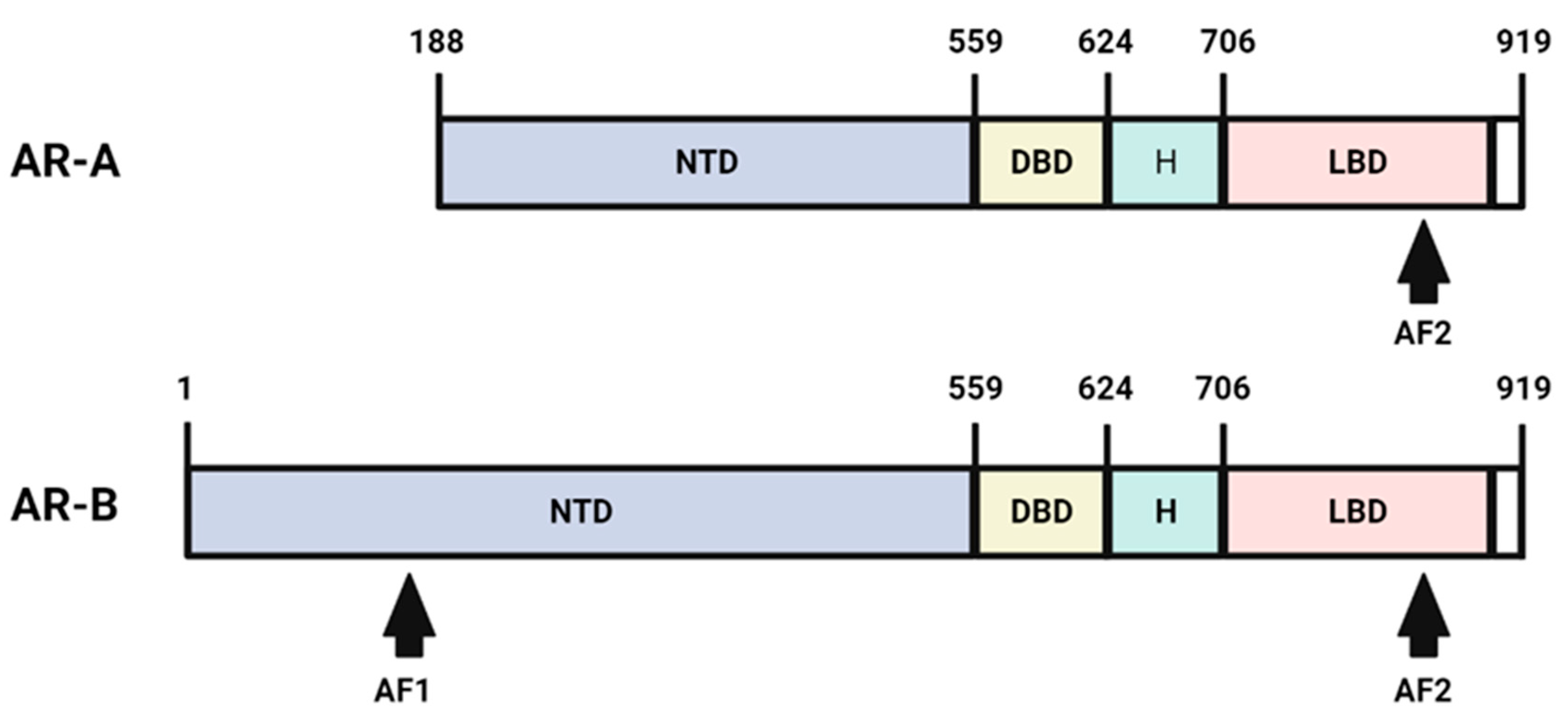 Nutrients 15 03330 g001 Nutrients 15 03330 g001