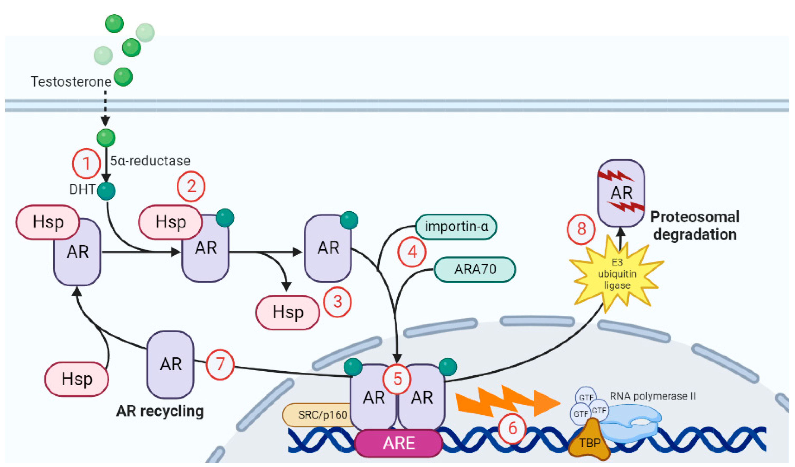 Nutrients 15 03330 g002 Nutrients 15 03330 g002