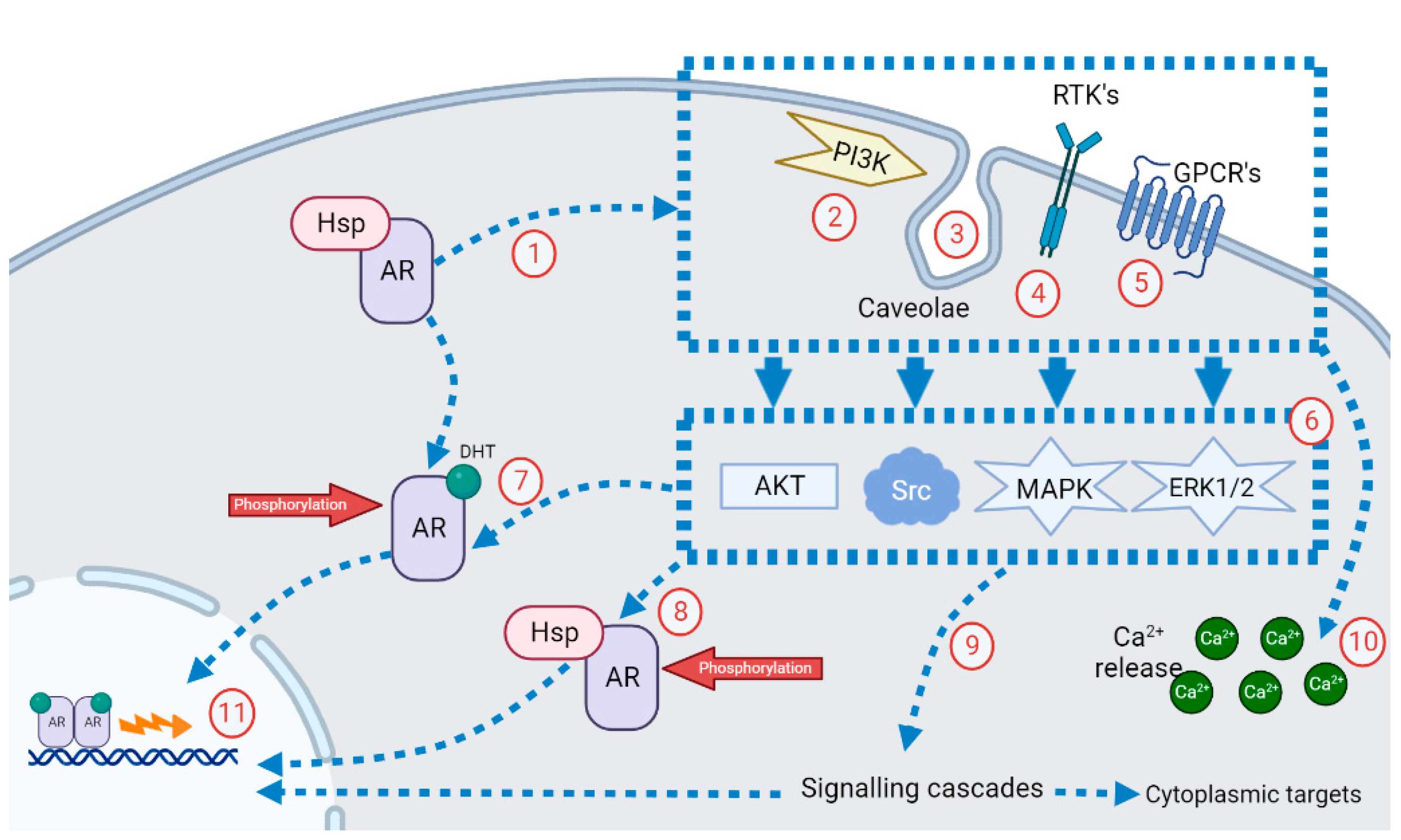 Nutrients 15 03330 g003 Nutrients 15 03330 g003