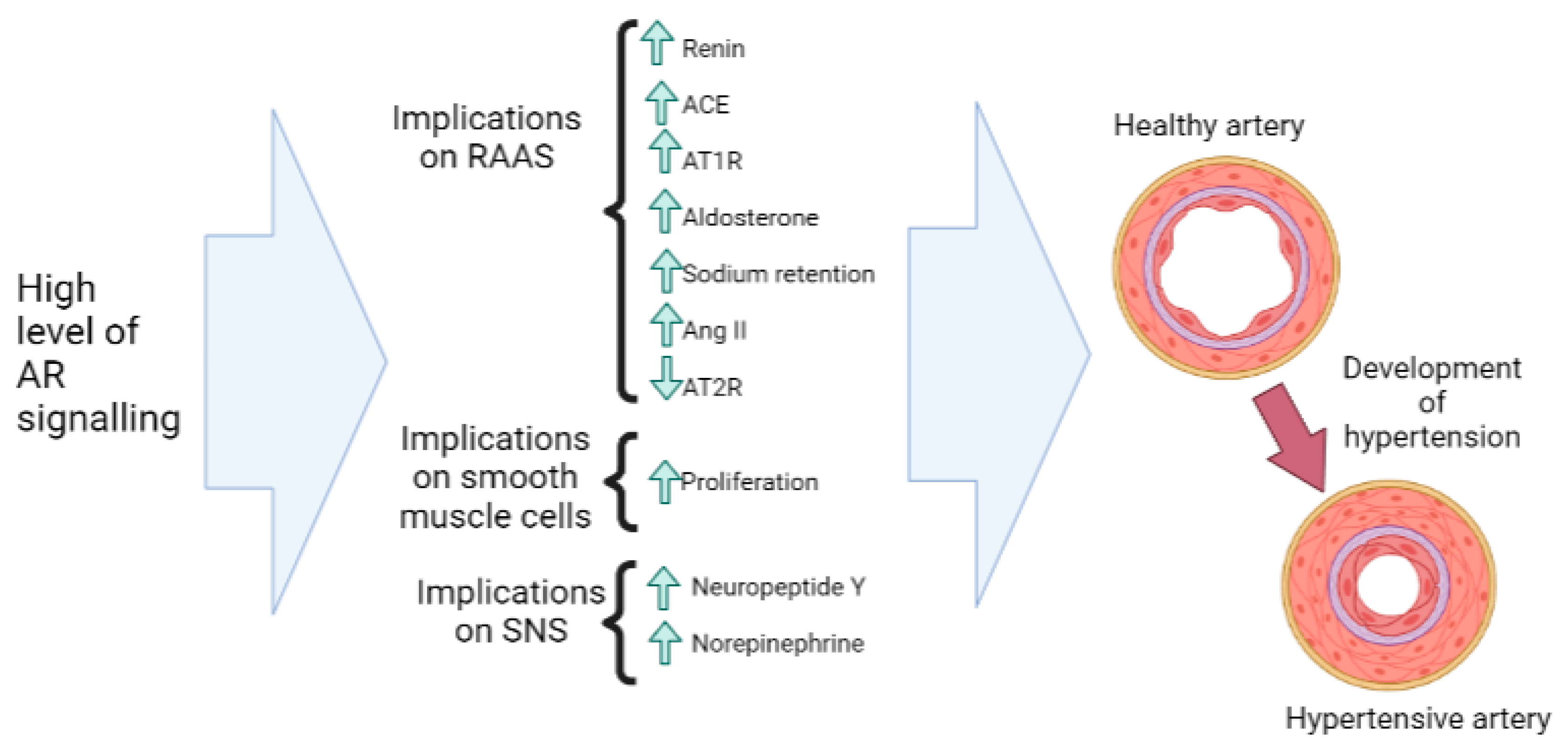 Nutrients 15 03330 g005 Nutrients 15 03330 g005