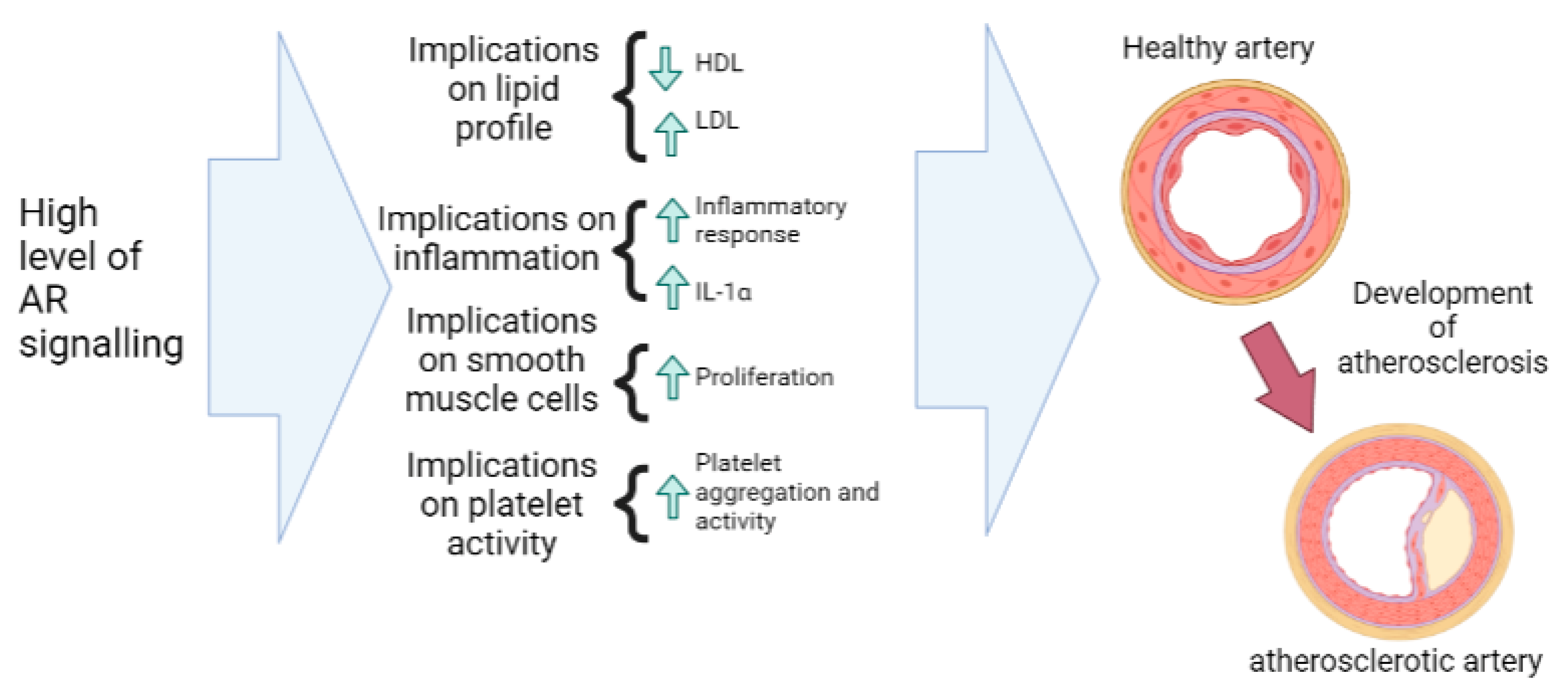 Nutrients 15 03330 g006 Nutrients 15 03330 g006
