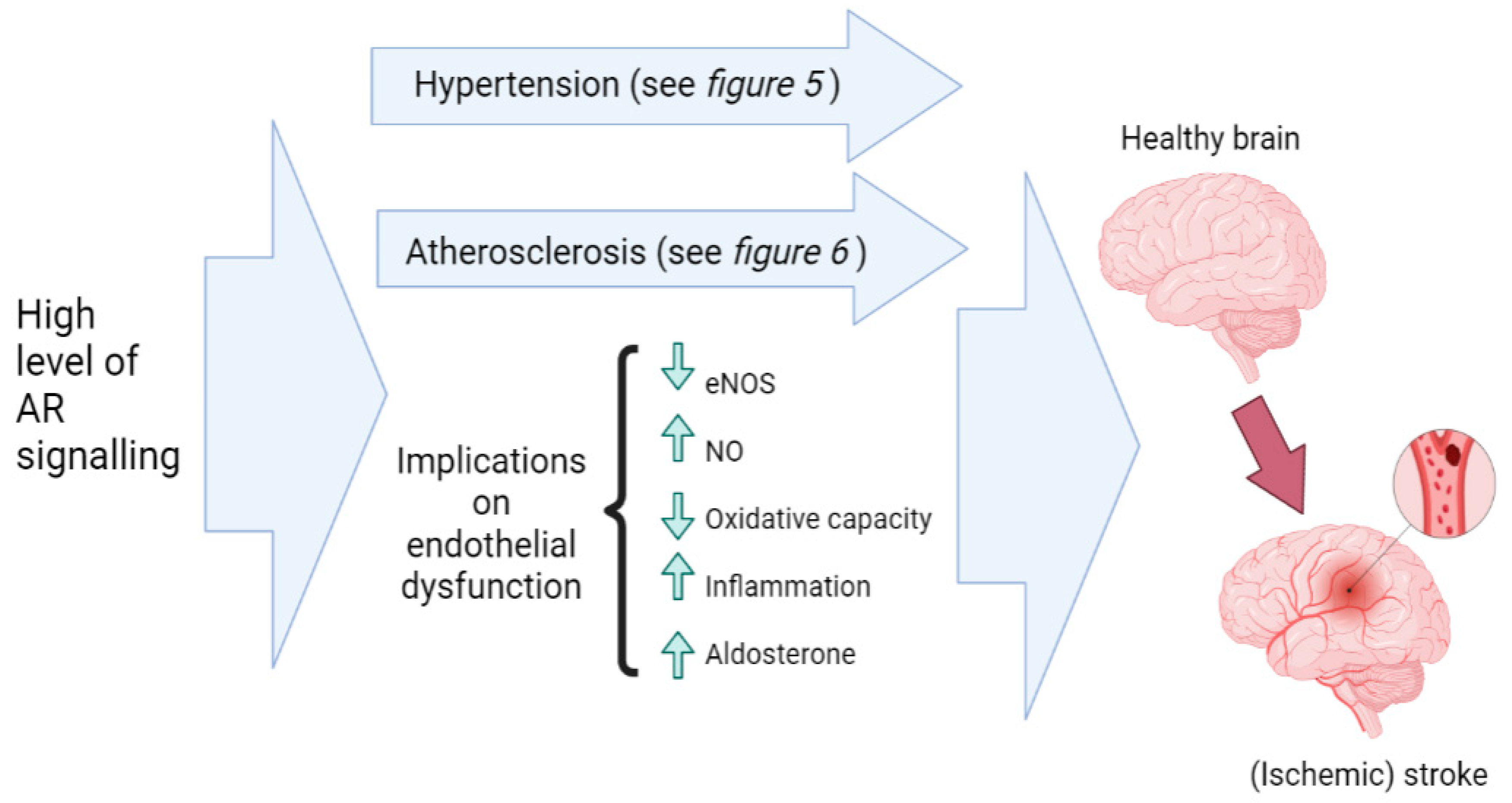 Nutrients 15 03330 g008 Nutrients 15 03330 g008