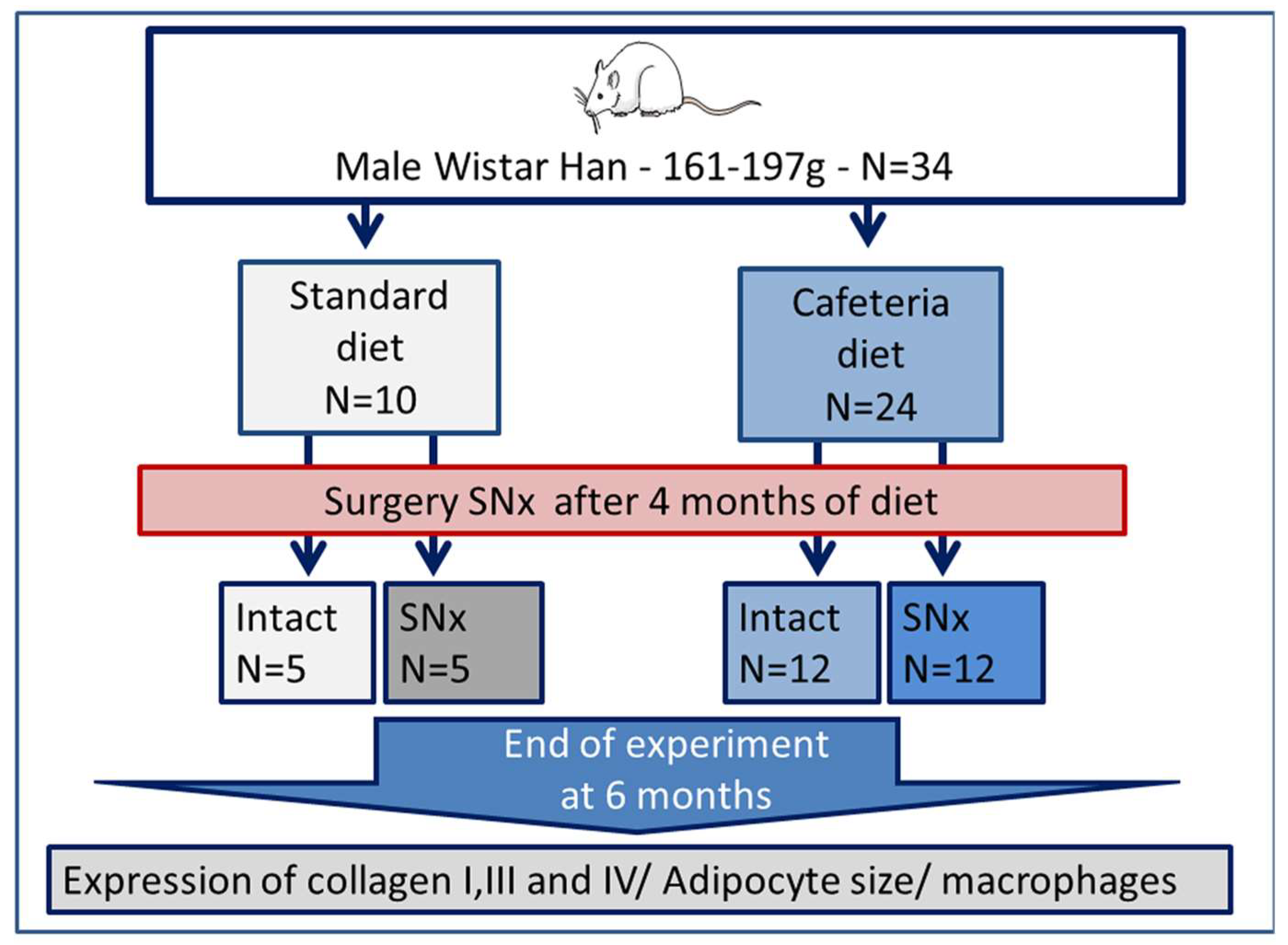 Nutrients 15 03331 g001