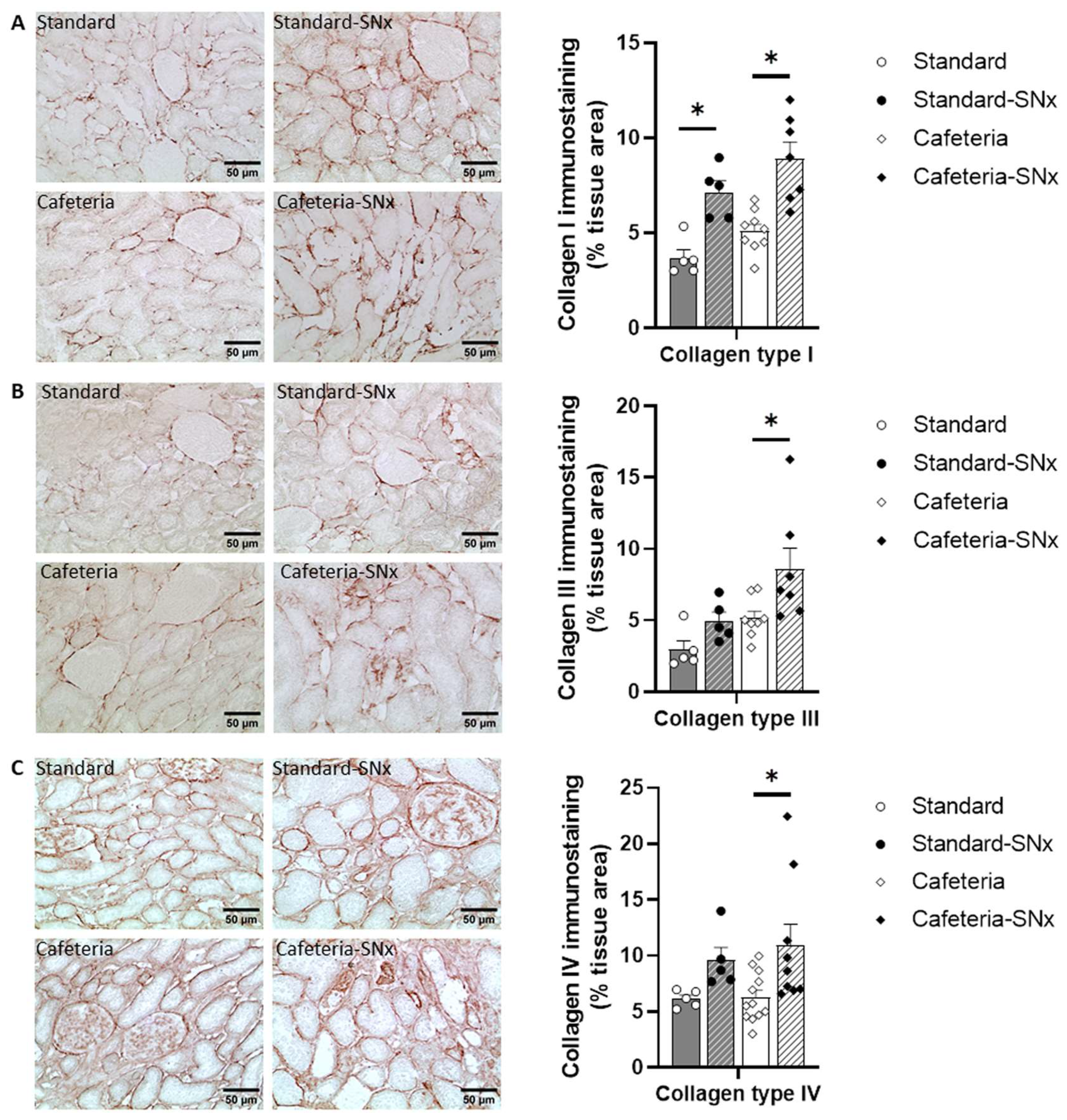 Nutrients 15 03331 g004