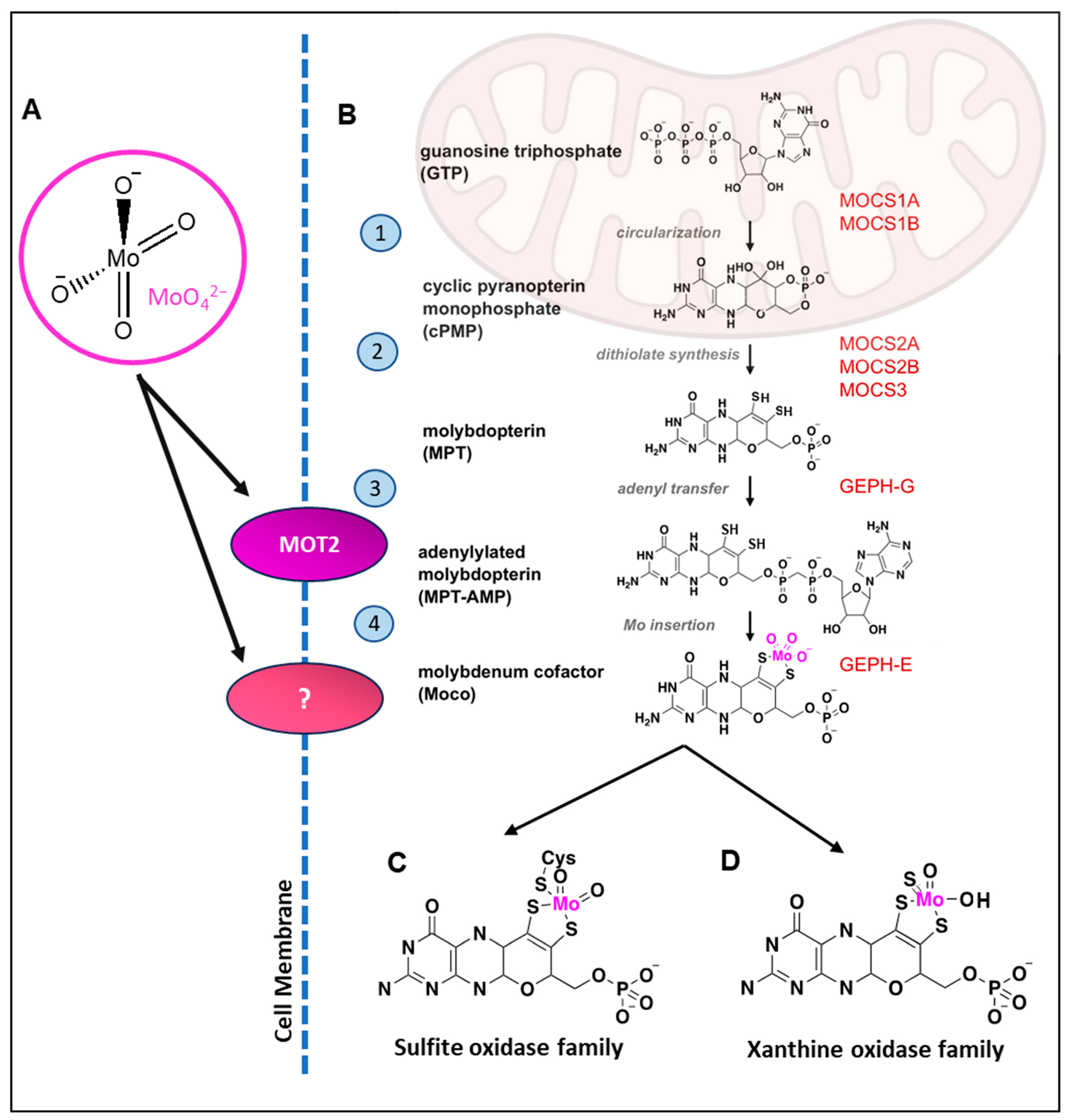 Nutrients 15 03348 g001