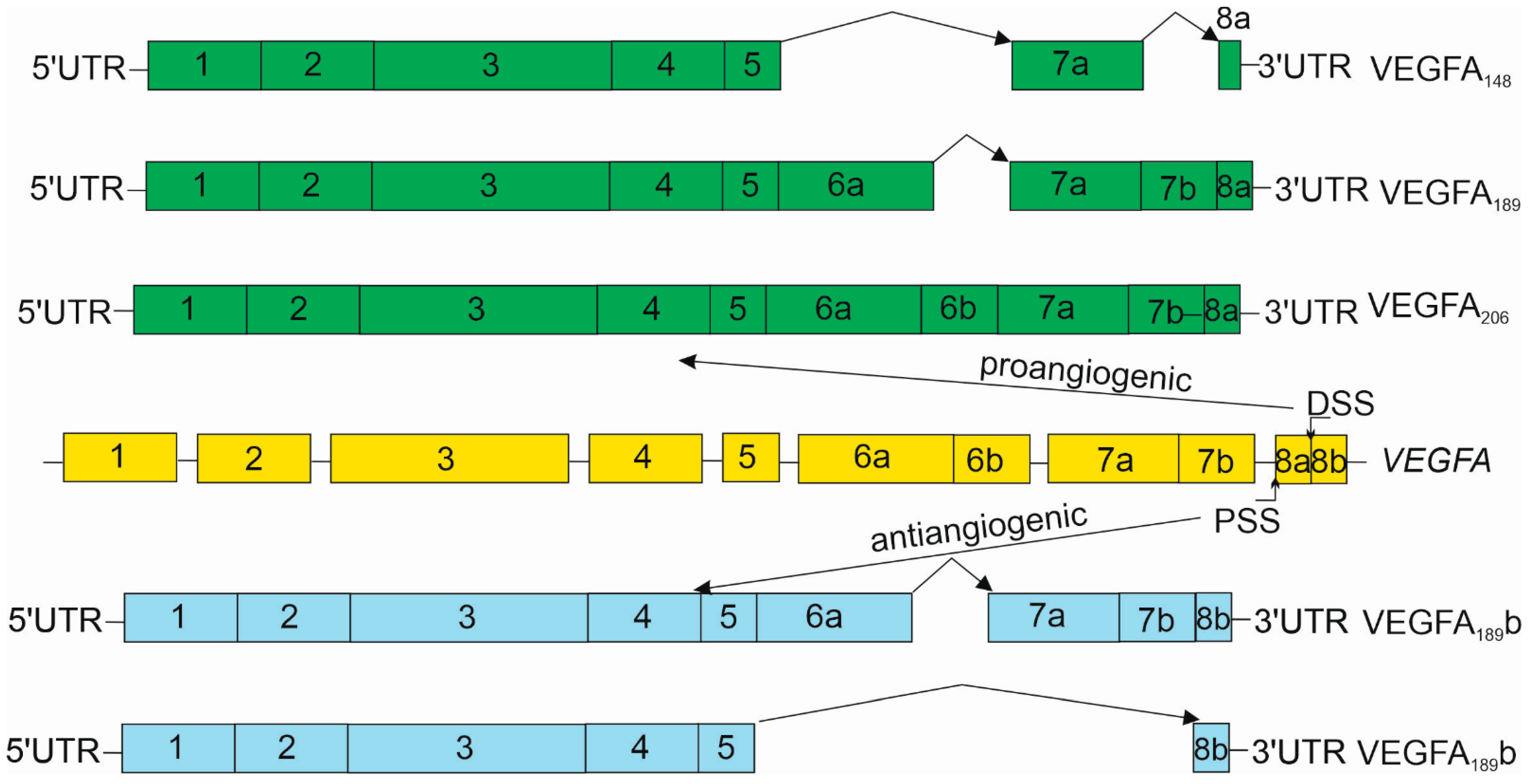 Nutrients 15 03358 g002 Nutrients 15 03358 g002