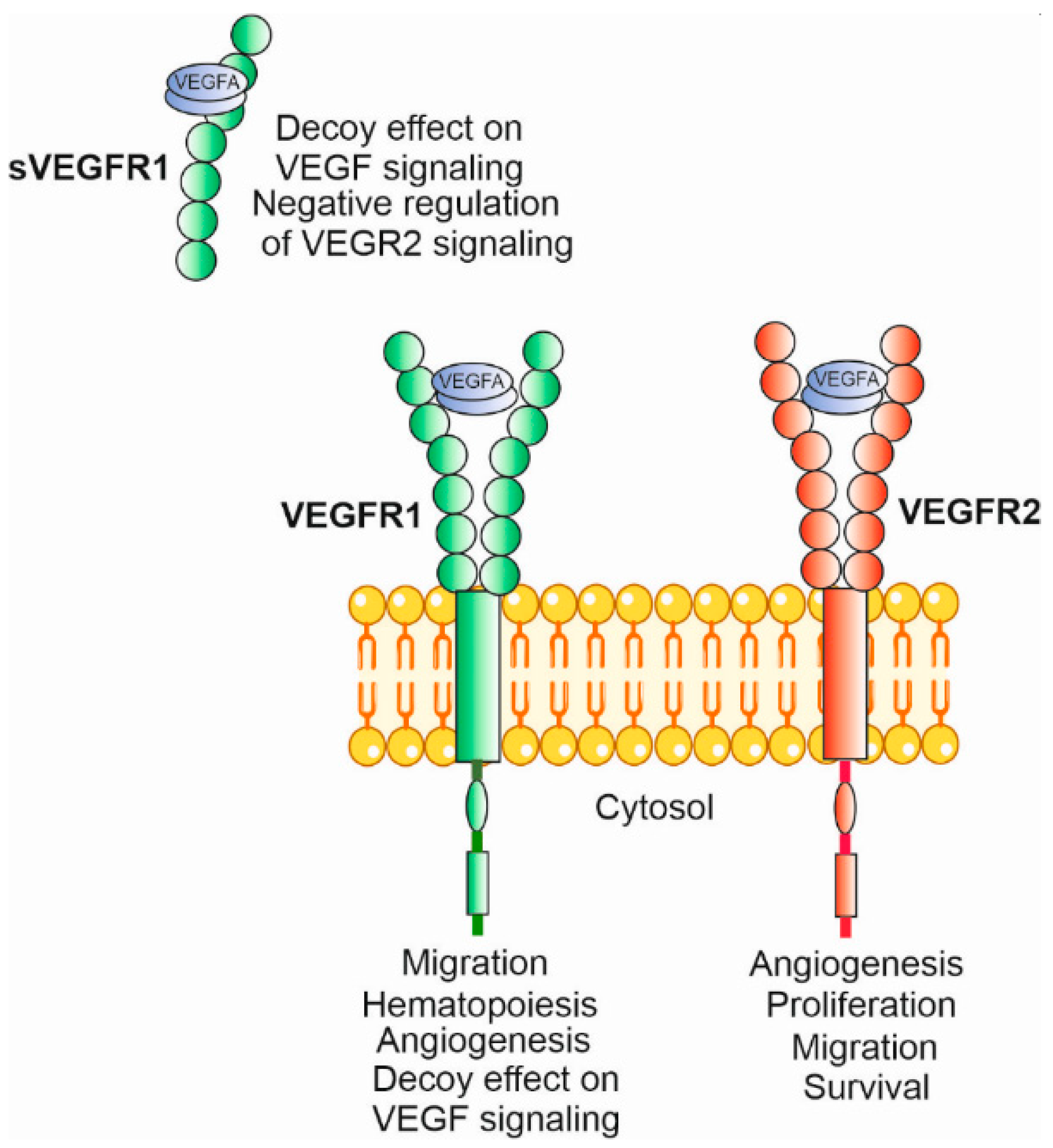 Nutrients 15 03358 g004 Nutrients 15 03358 g004