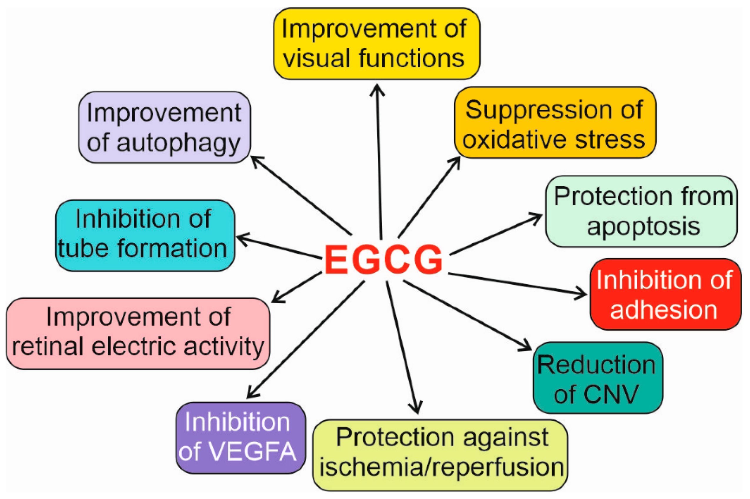 Nutrients 15 03358 g006 Nutrients 15 03358 g006