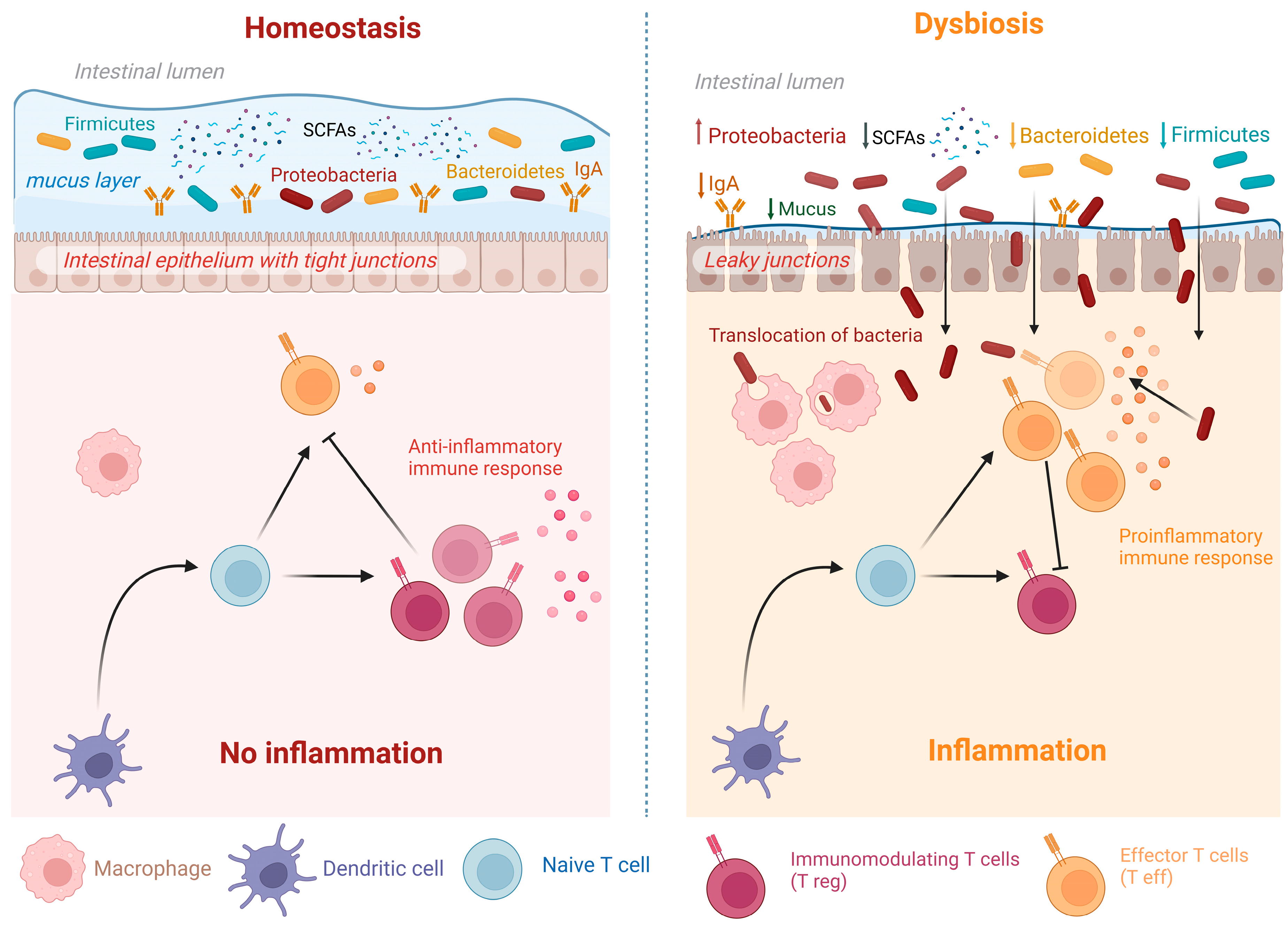 Nutrients 15 03377 g001