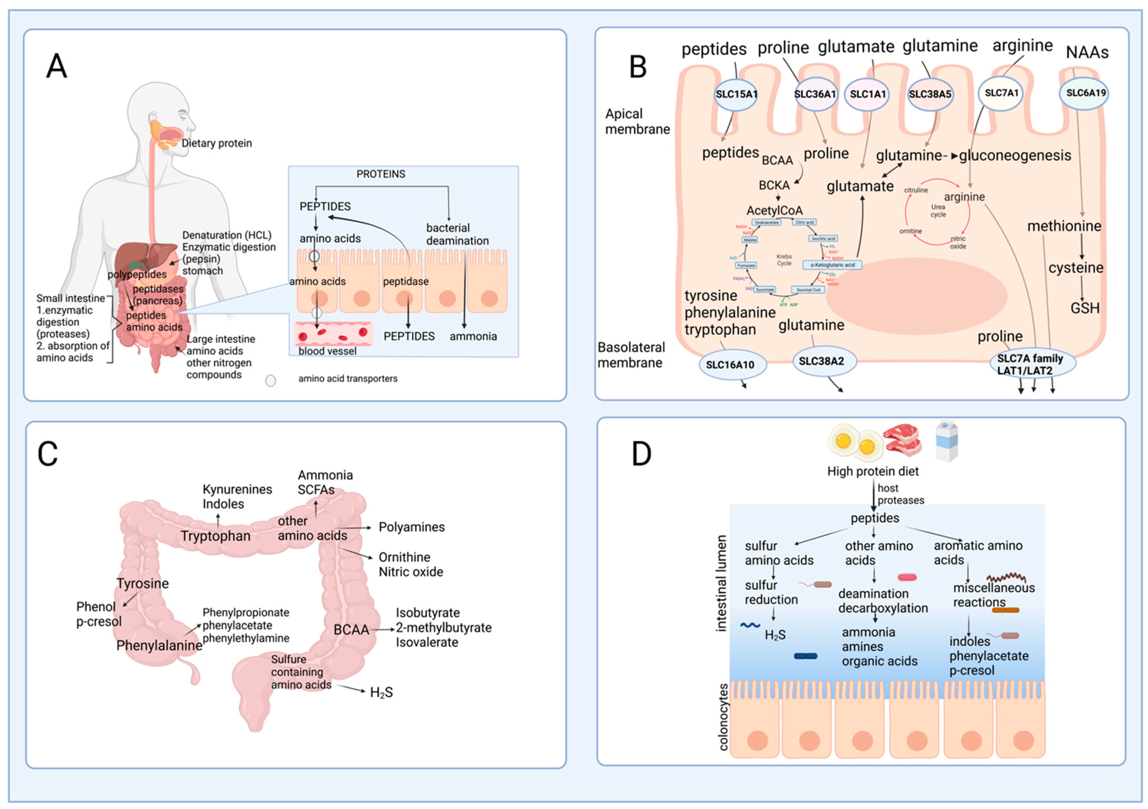 Nutrients 15 03378 g002 Nutrients 15 03378 g002