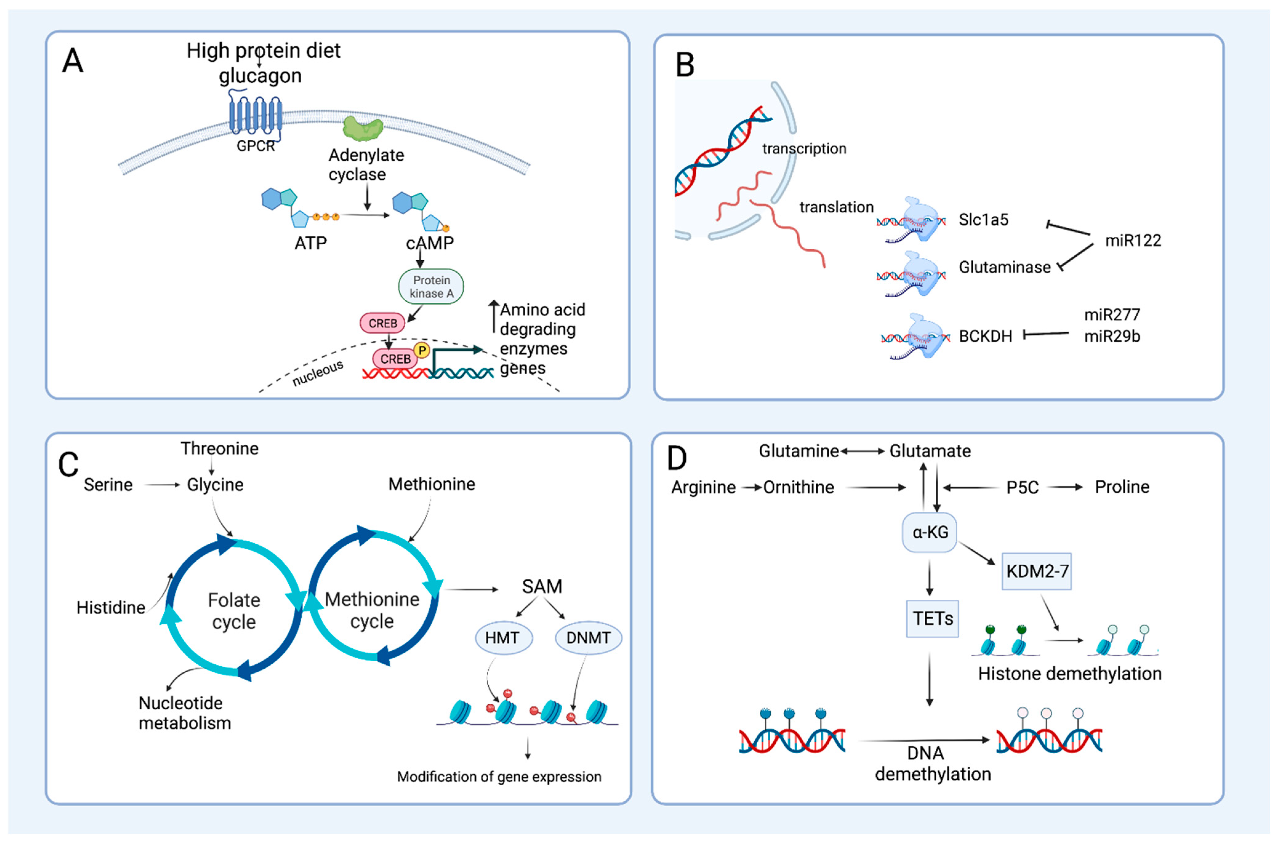 Nutrients 15 03378 g003 Nutrients 15 03378 g003